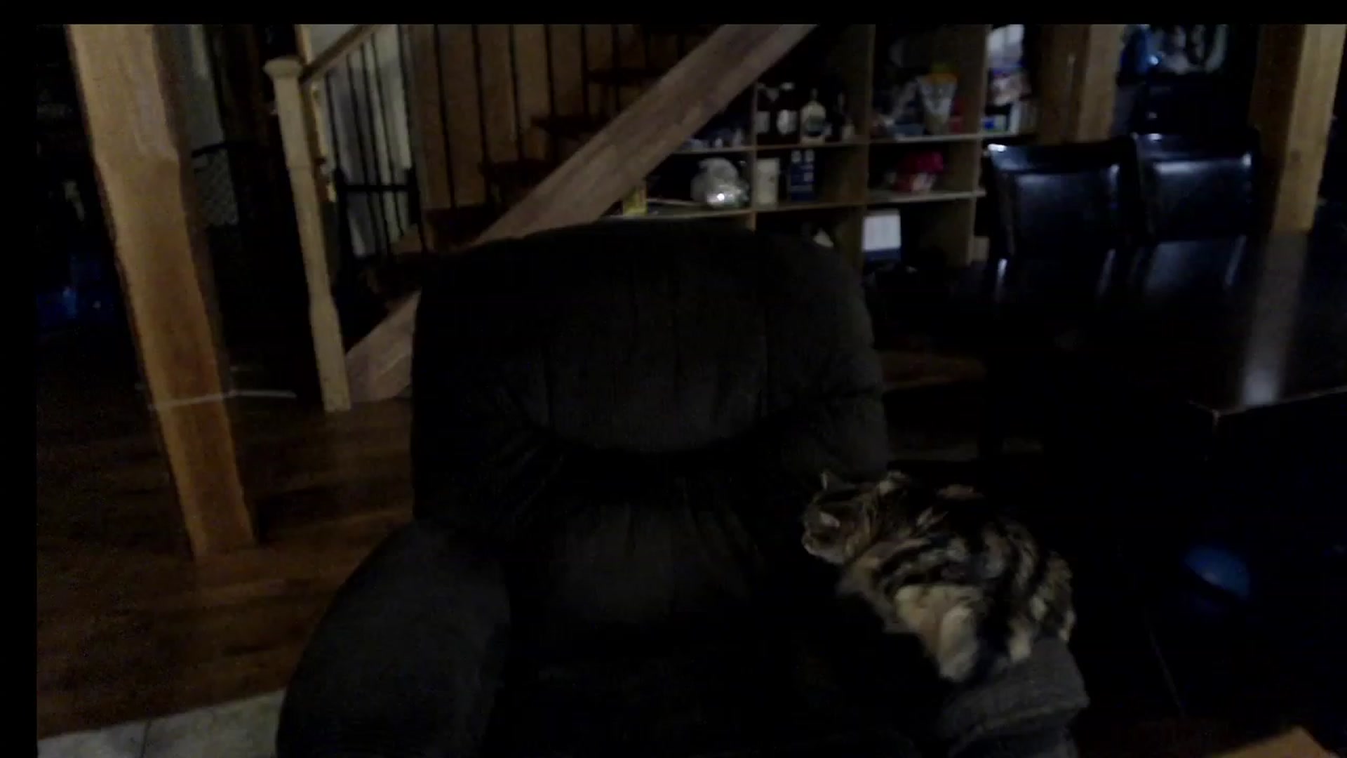 Gallery image thumbnail from KaliGunz's myfreecams stream on, 12/08/2022, 06:13 image 14 of 20