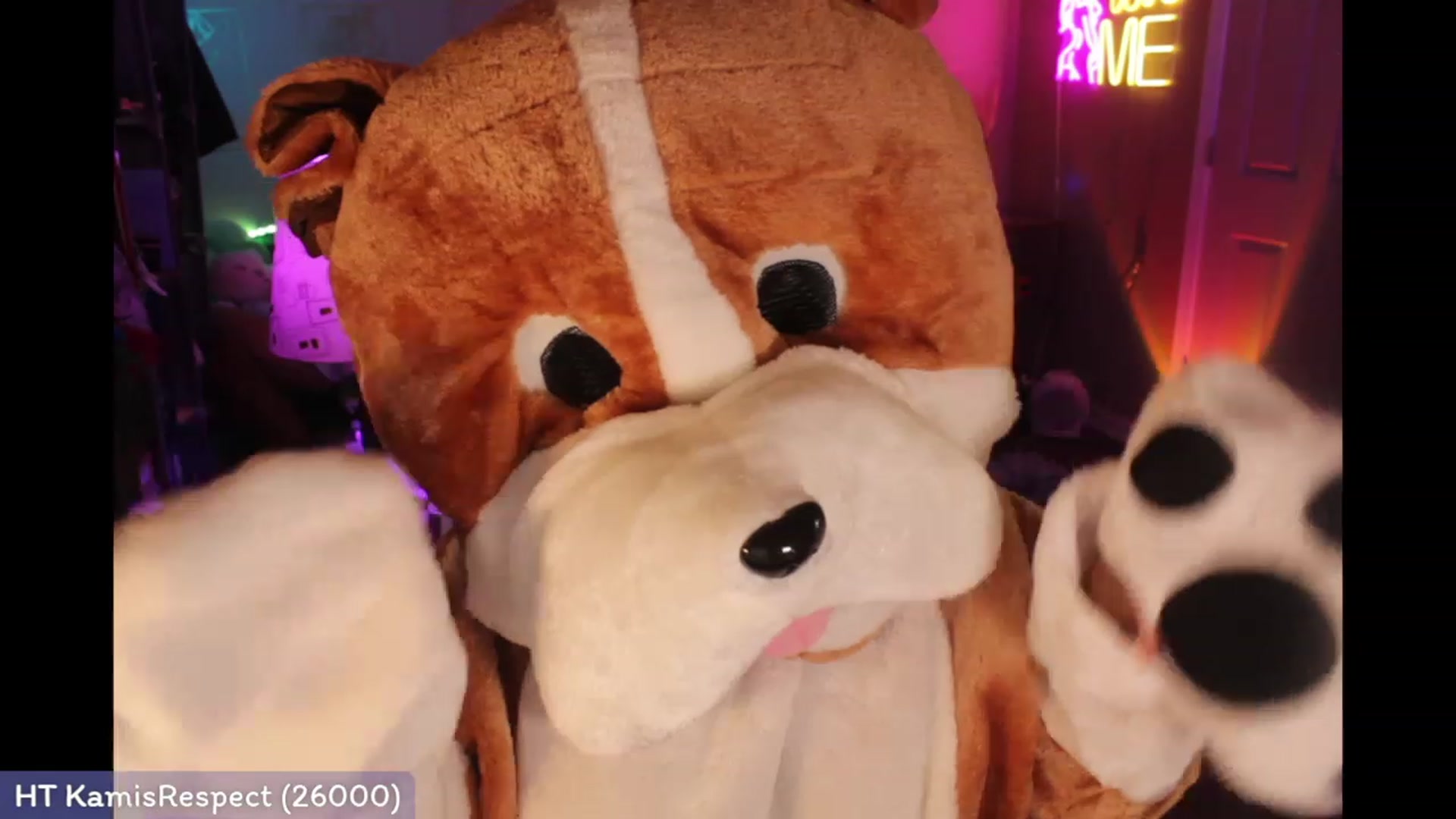 Gallery image thumbnail from Kamila__'s myfreecams stream on, 03/26/2023, 03:18 image 16 of 20