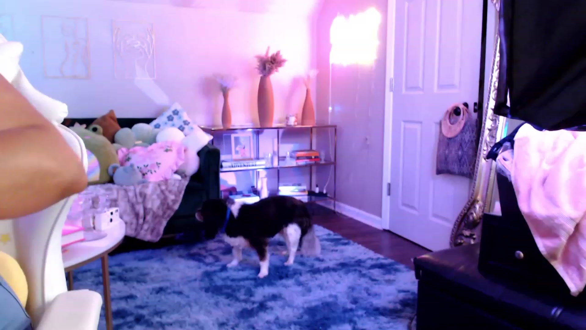 Gallery image thumbnail from Kamila__'s myfreecams stream on, 07/01/2023, 02:37 image 2 of 20
