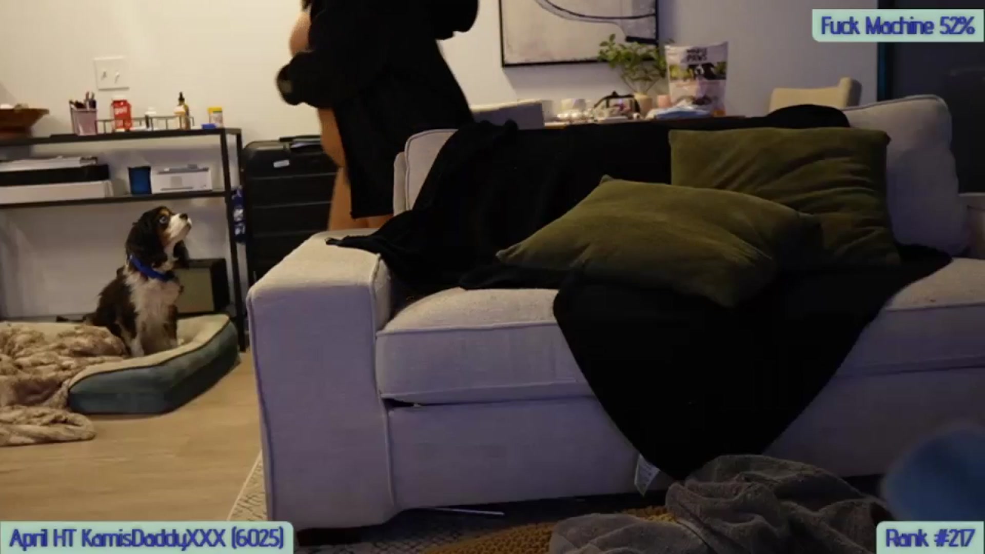 Gallery image thumbnail from Kamila__'s myfreecams stream on, 04/19/2024, 06:22 image 15 of 20