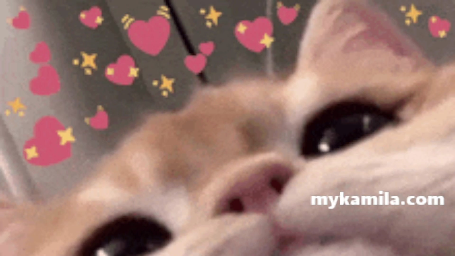 Gallery image thumbnail from Kamila__'s myfreecams stream on, 07/12/2024, 08:37 image 11 of 20