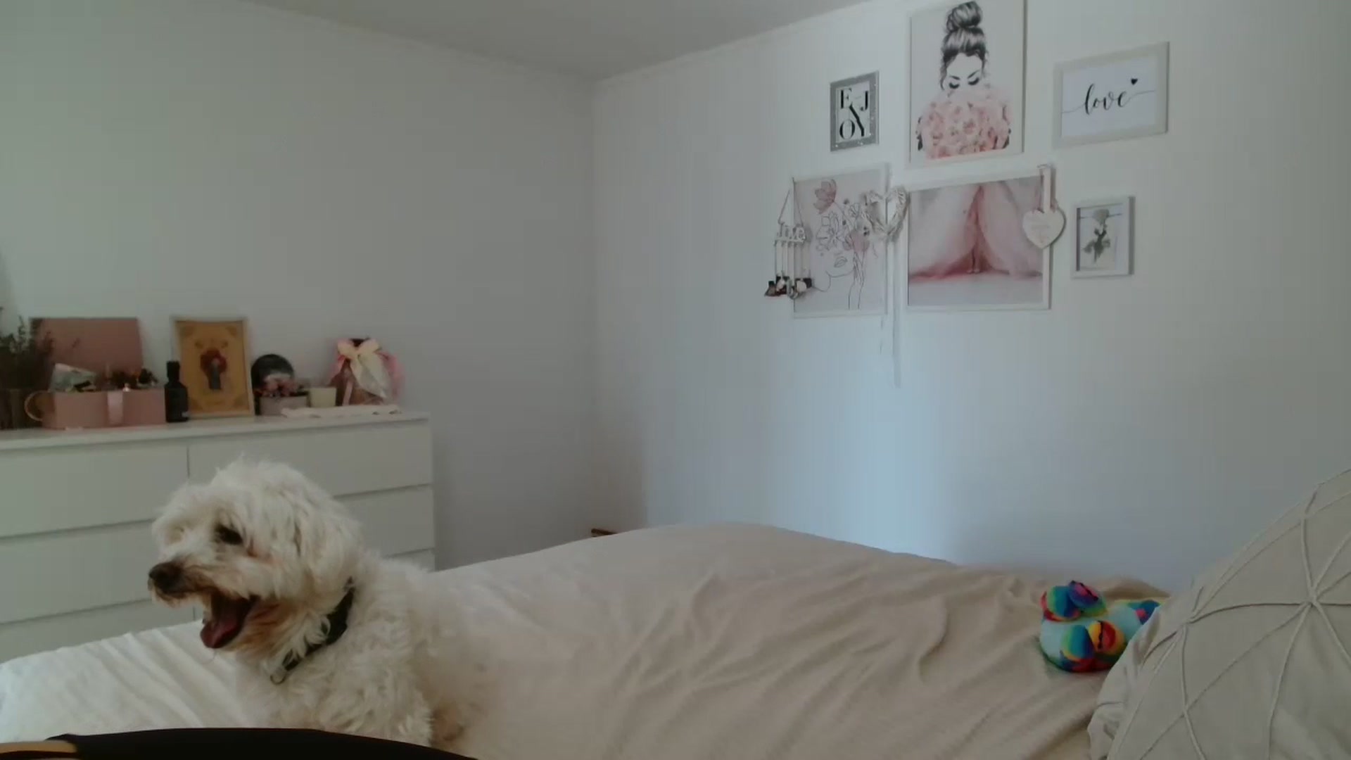 Gallery image thumbnail from Kandy_C's myfreecams stream on, 08/13/2024, 10:26 image 4 of 20