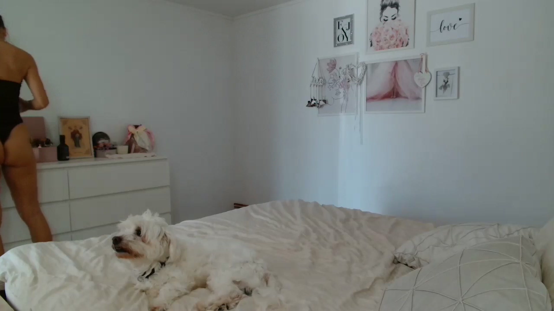 Gallery image thumbnail from Kandy_C's myfreecams stream on, 08/13/2024, 11:37 image 16 of 20