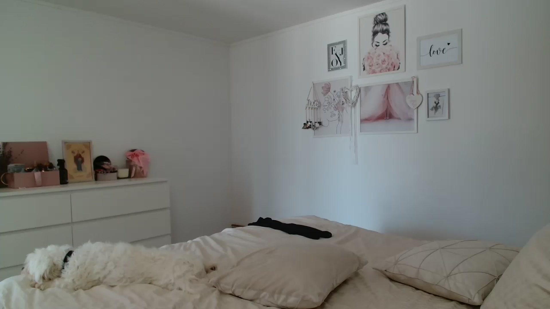 Gallery image thumbnail from Kandy_C's myfreecams stream on, 08/15/2024, 12:47 image 1 of 20