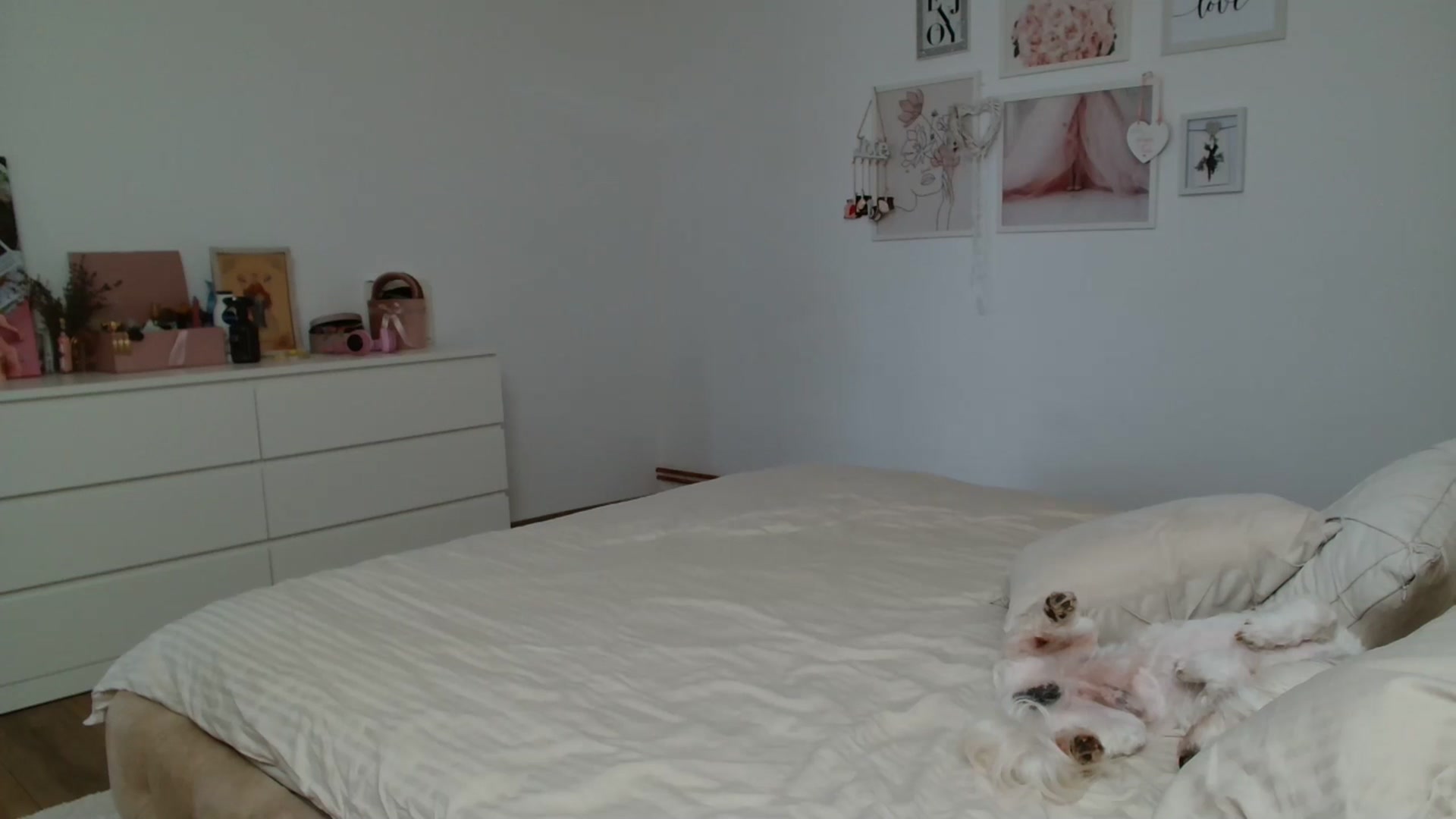Gallery image thumbnail from Kandy_C's myfreecams stream on, 03/17/2025, 13:18 image 18 of 20
