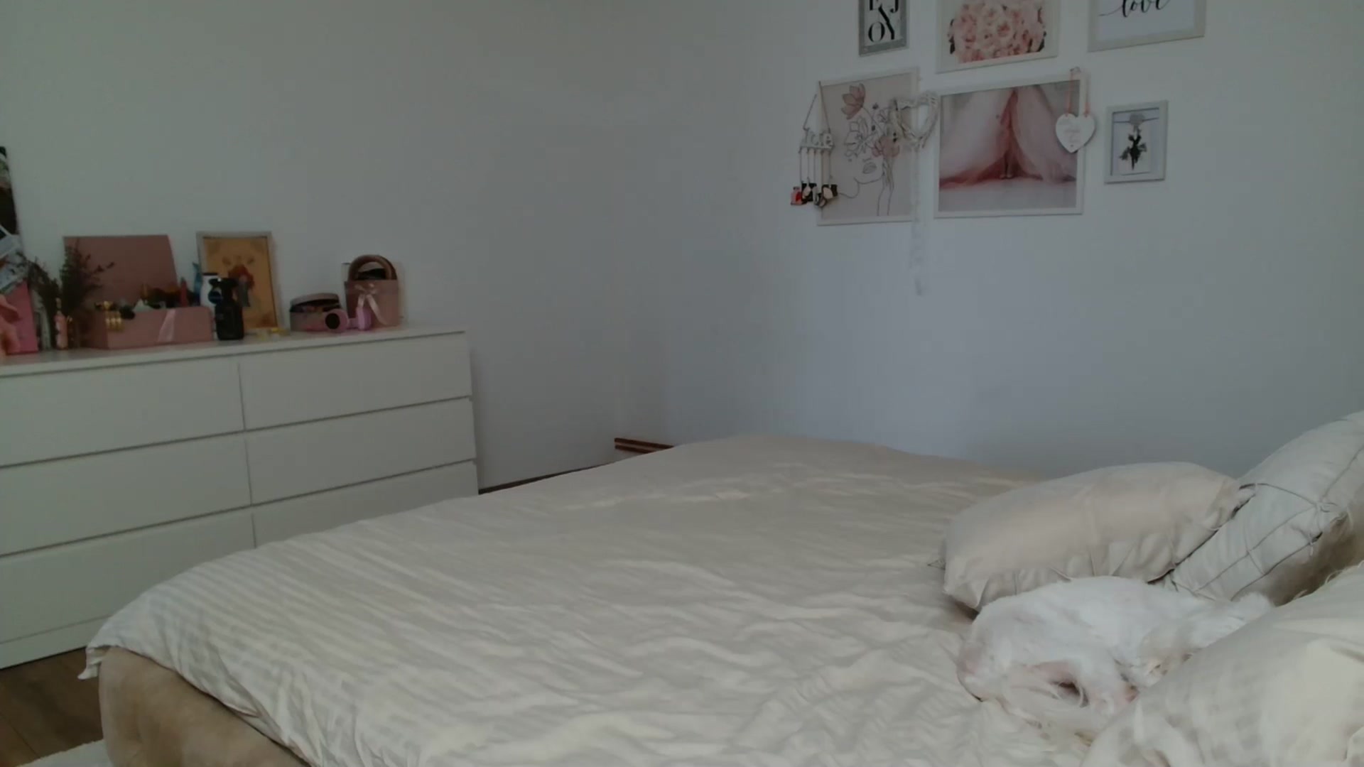 Gallery image thumbnail from Kandy_C's myfreecams stream on, 03/17/2025, 13:18 image 17 of 20