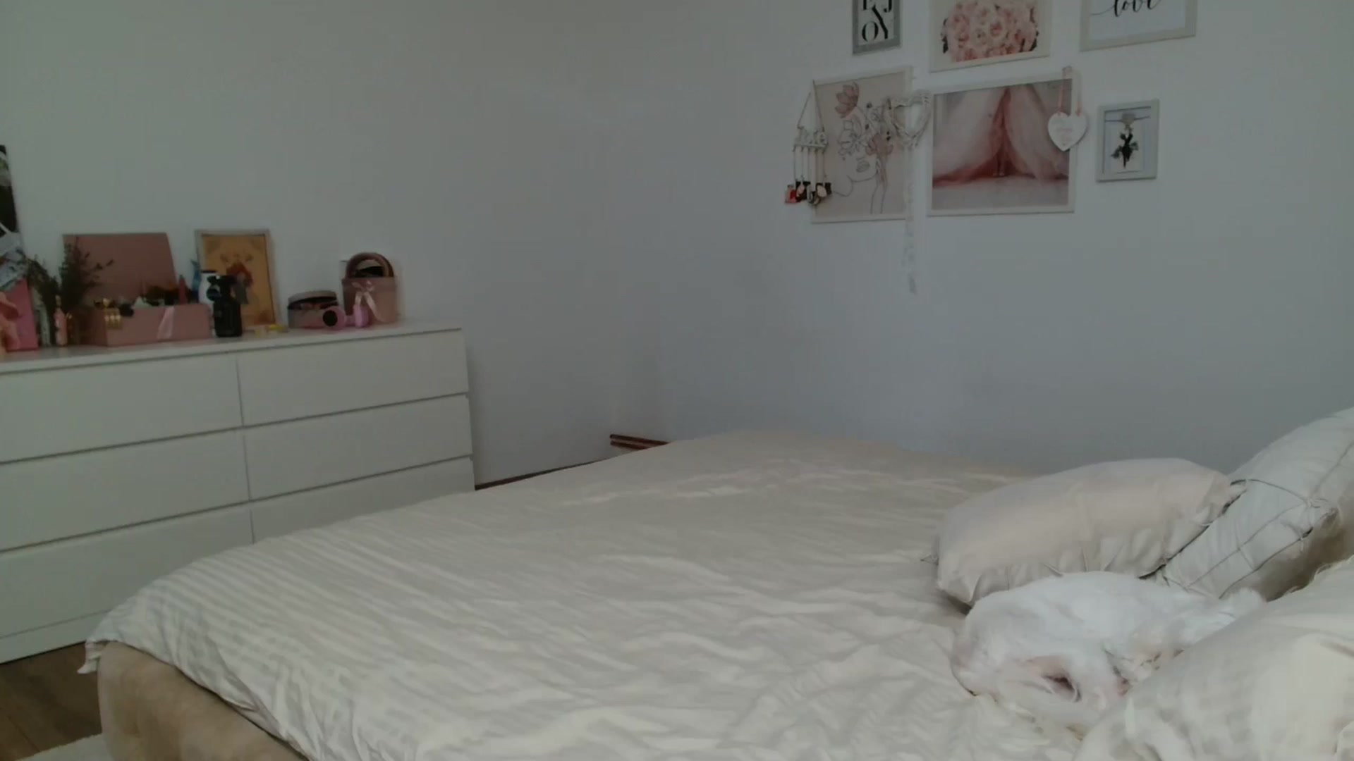 Gallery image thumbnail from Kandy_C's myfreecams stream on, 03/17/2025, 13:18 image 15 of 20