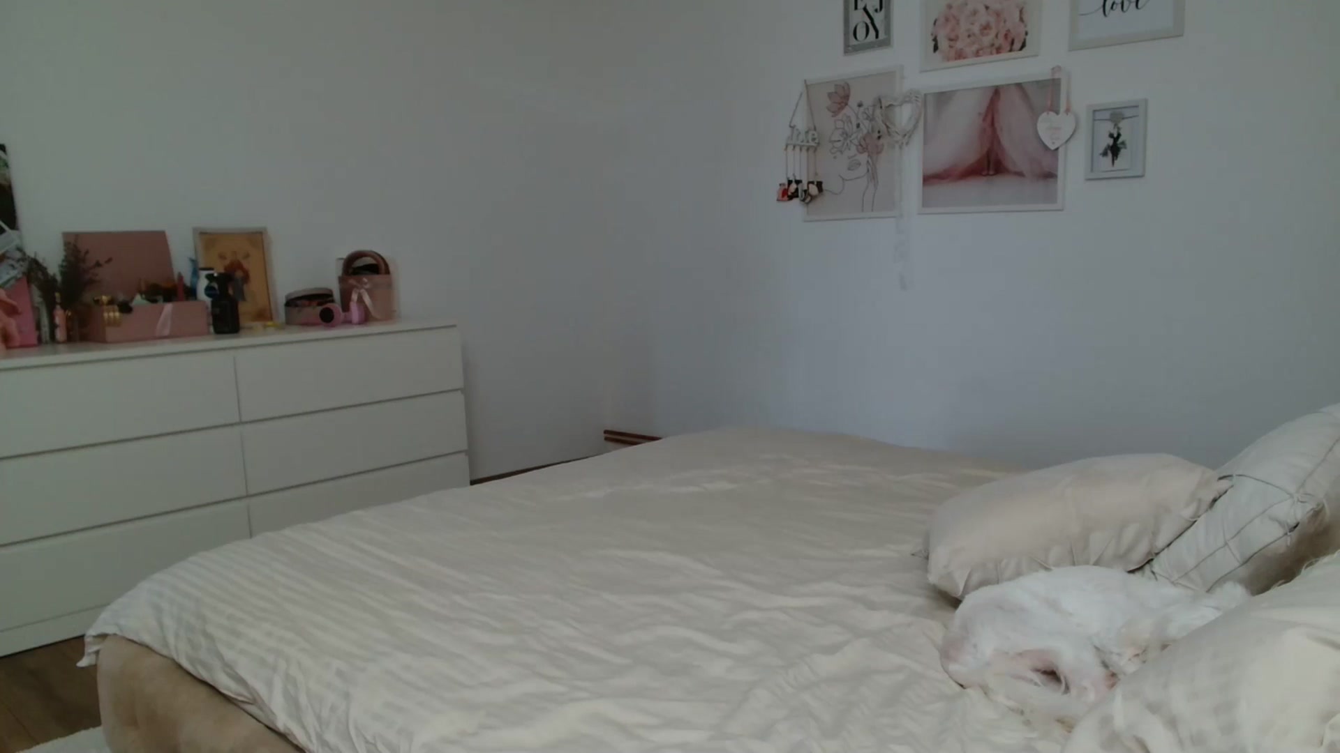 Gallery image thumbnail from Kandy_C's myfreecams stream on, 03/17/2025, 13:18 image 16 of 20