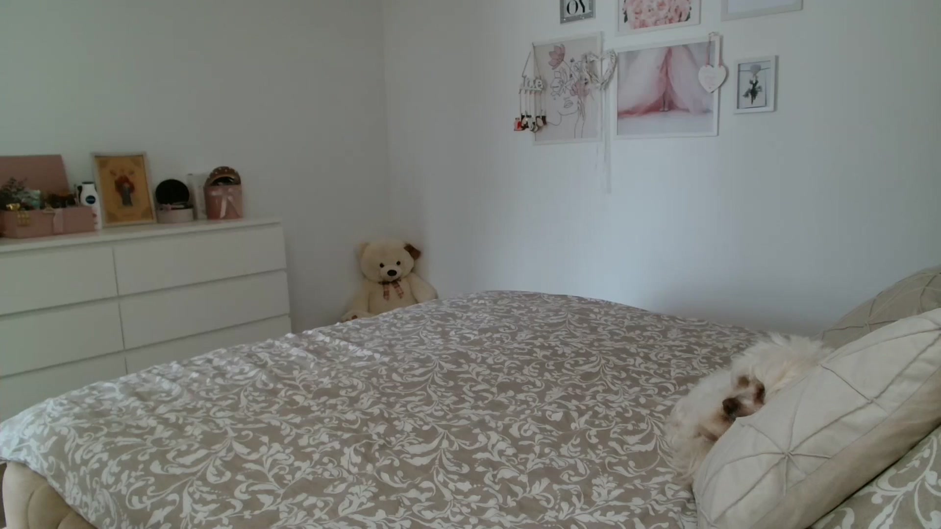 Gallery image thumbnail from Kandy_C's myfreecams stream on, 05/21/2025, 12:28 image 15 of 20