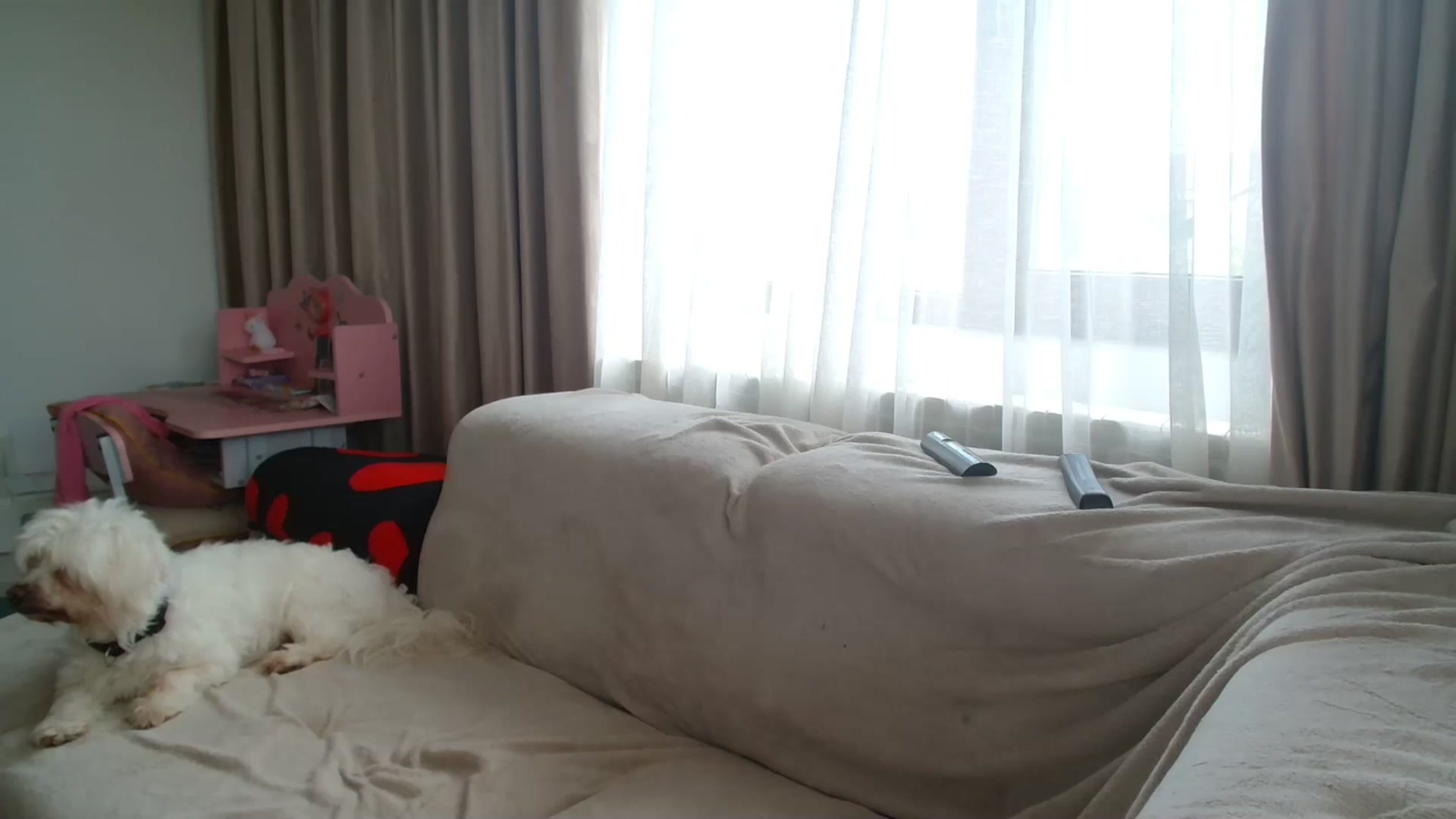 Gallery image thumbnail from Kandy_C's myfreecams stream on, 06/10/2025, 13:40 image 15 of 20
