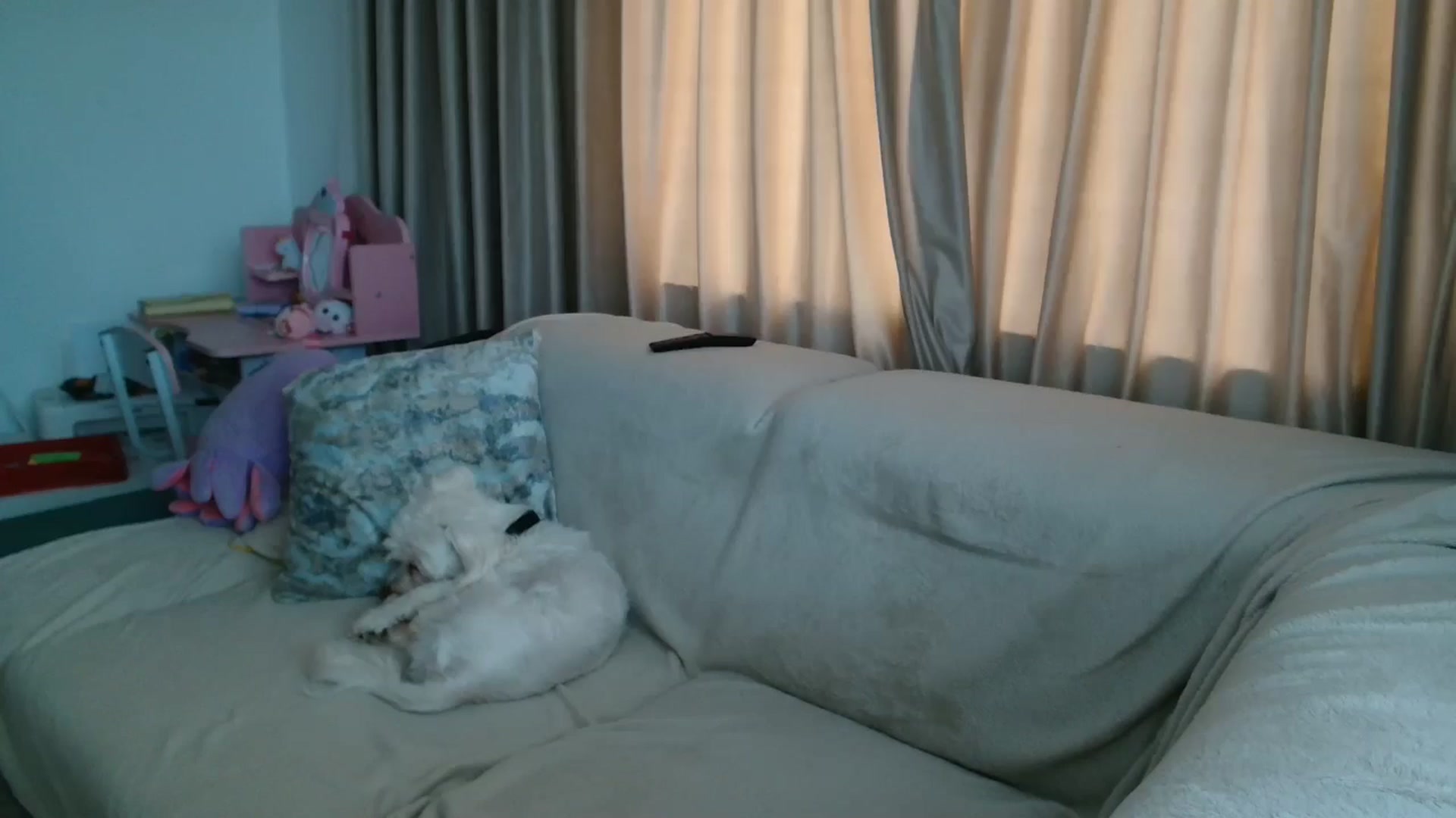 Gallery image thumbnail from Kandy_C's myfreecams stream on, 07/29/2025, 13:53 image 15 of 20