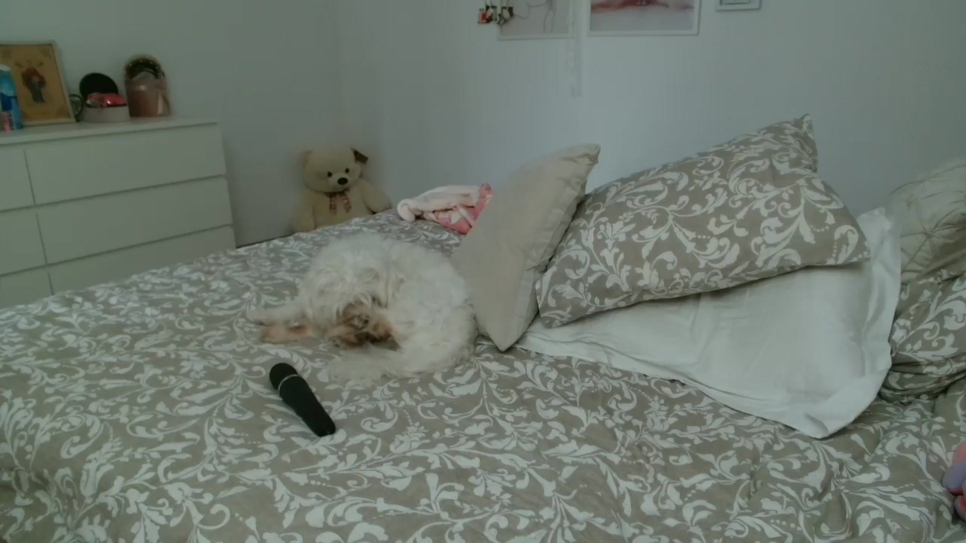 Gallery image thumbnail from Kandy_C's myfreecams stream on, 10/10/2025, 13:16 image 6 of 20