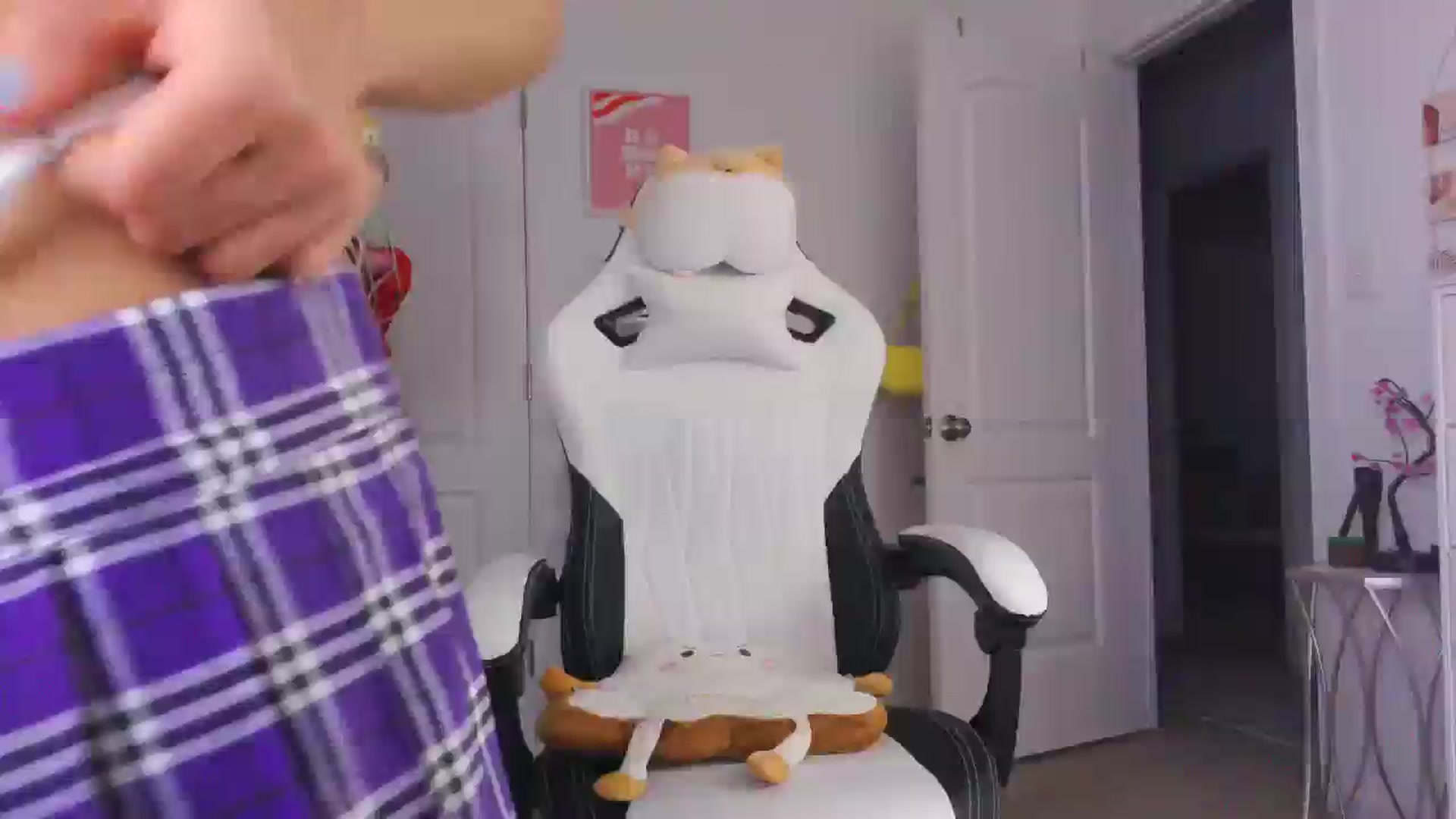 Gallery image thumbnail from Kapri_sunxo's myfreecams stream on, 02/26/2025, 23:05 image 11 of 20