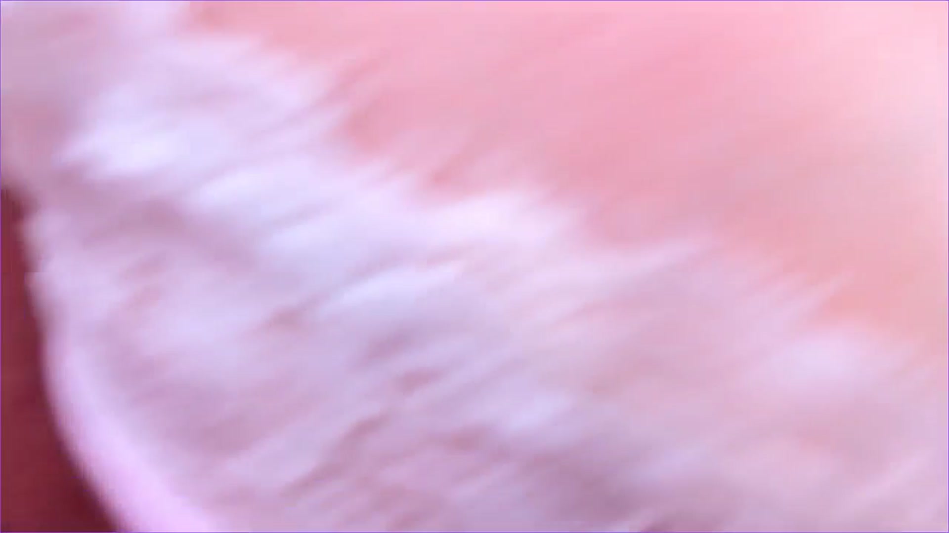 Gallery image thumbnail from Karlee_Grey_'s myfreecams stream on, 01/31/2026, 19:46 image 6 of 20