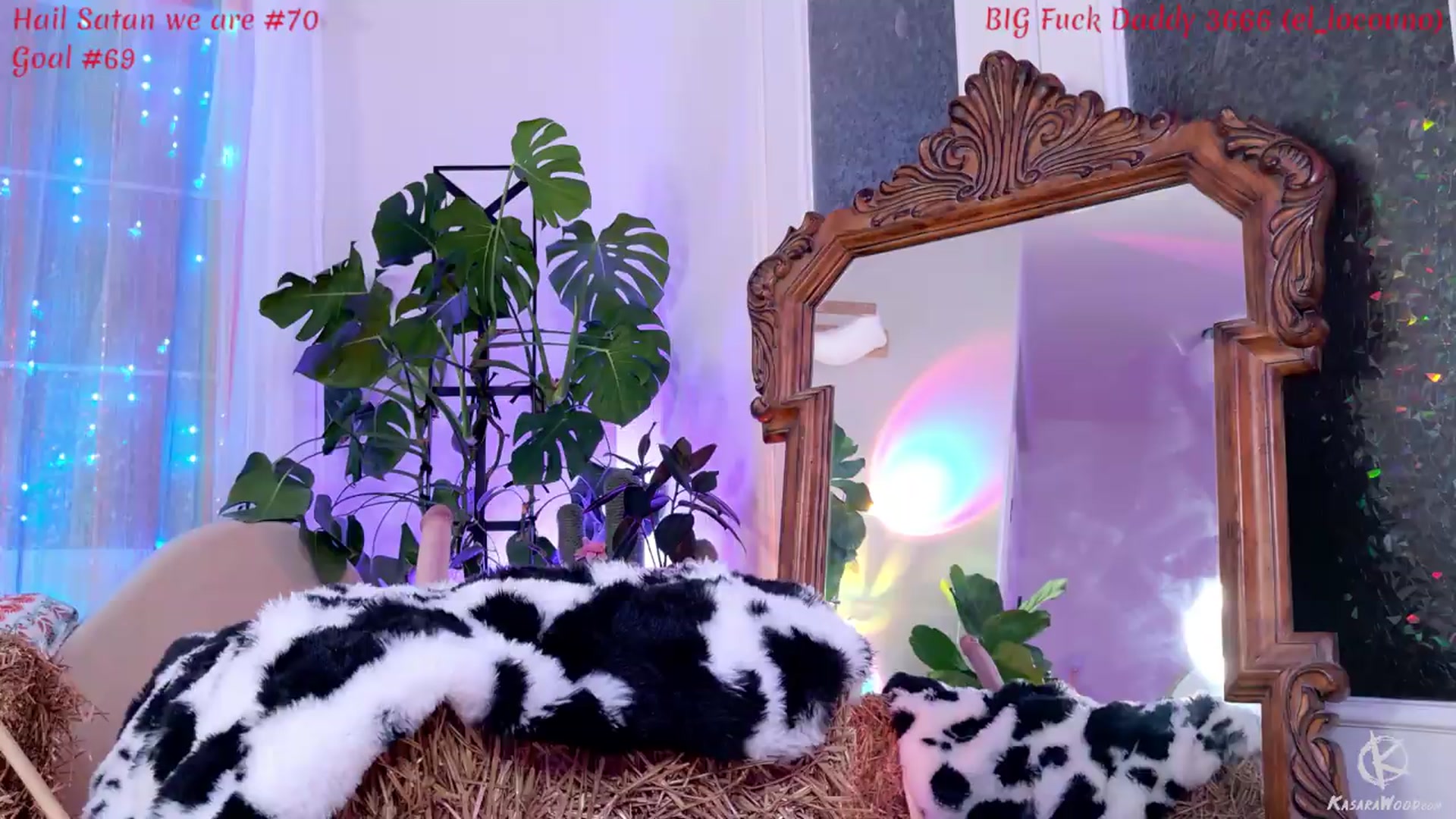 Gallery image thumbnail from KasaraWood's myfreecams stream on, 06/13/2026, 05:30 image 20 of 20
