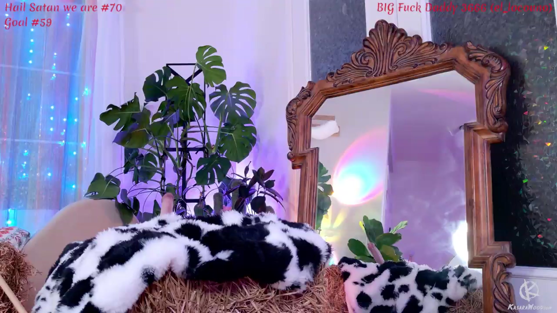Gallery image thumbnail from KasaraWood's myfreecams stream on, 06/13/2026, 05:30 image 17 of 20