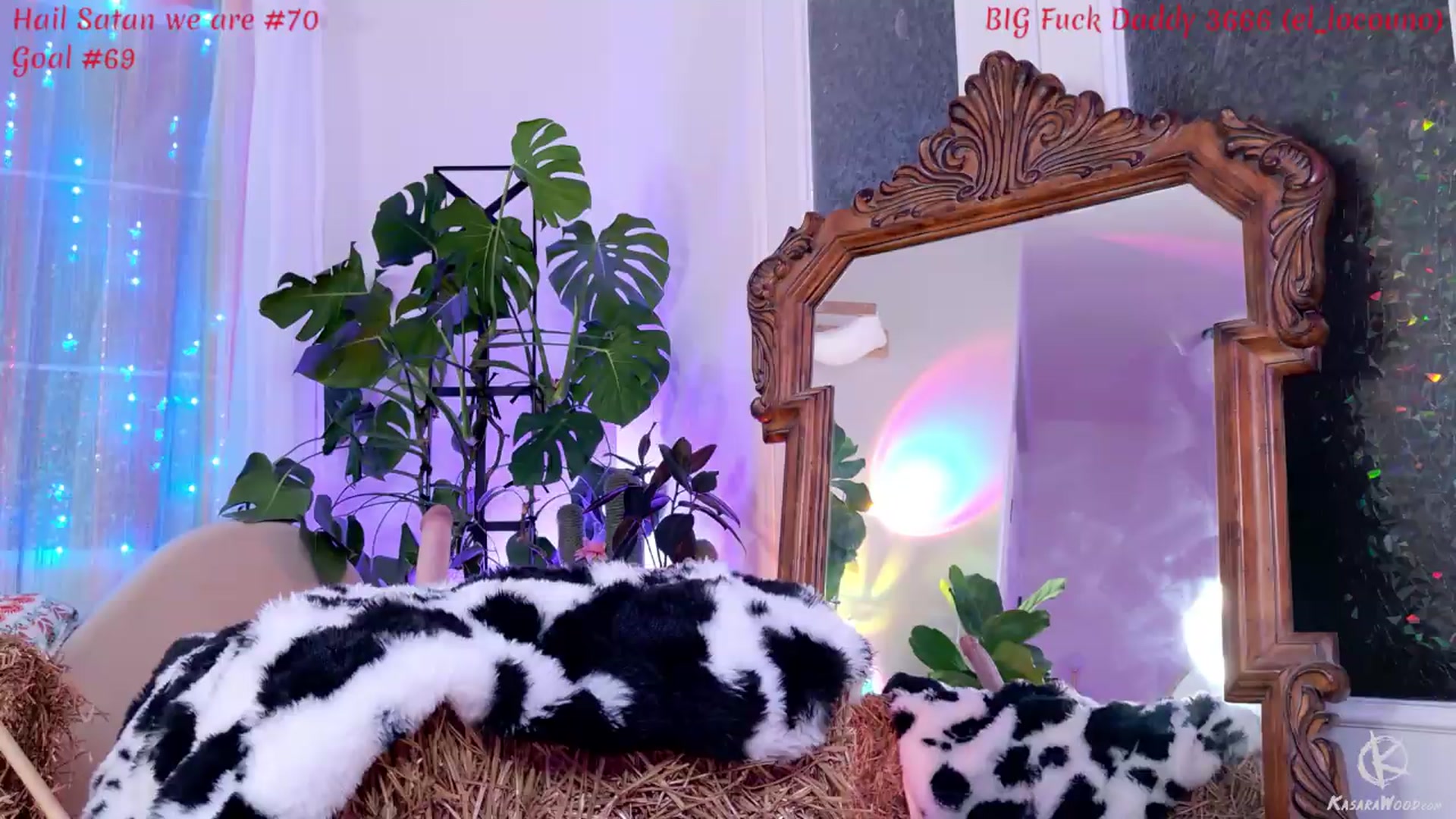 Gallery image thumbnail from KasaraWood's myfreecams stream on, 06/13/2026, 05:30 image 19 of 20