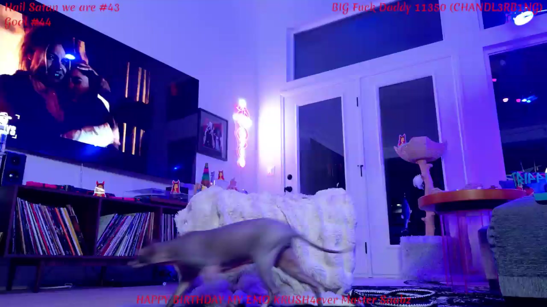 Gallery image thumbnail from KasaraWood's myfreecams stream on, 06/21/2026, 04:49 image 4 of 20