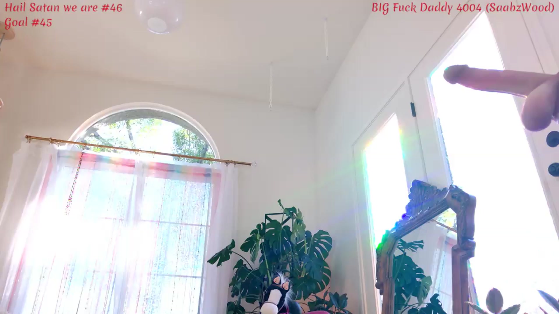 Gallery image thumbnail from KasaraWood's myfreecams stream on, 06/25/2026, 01:52 image 16 of 20