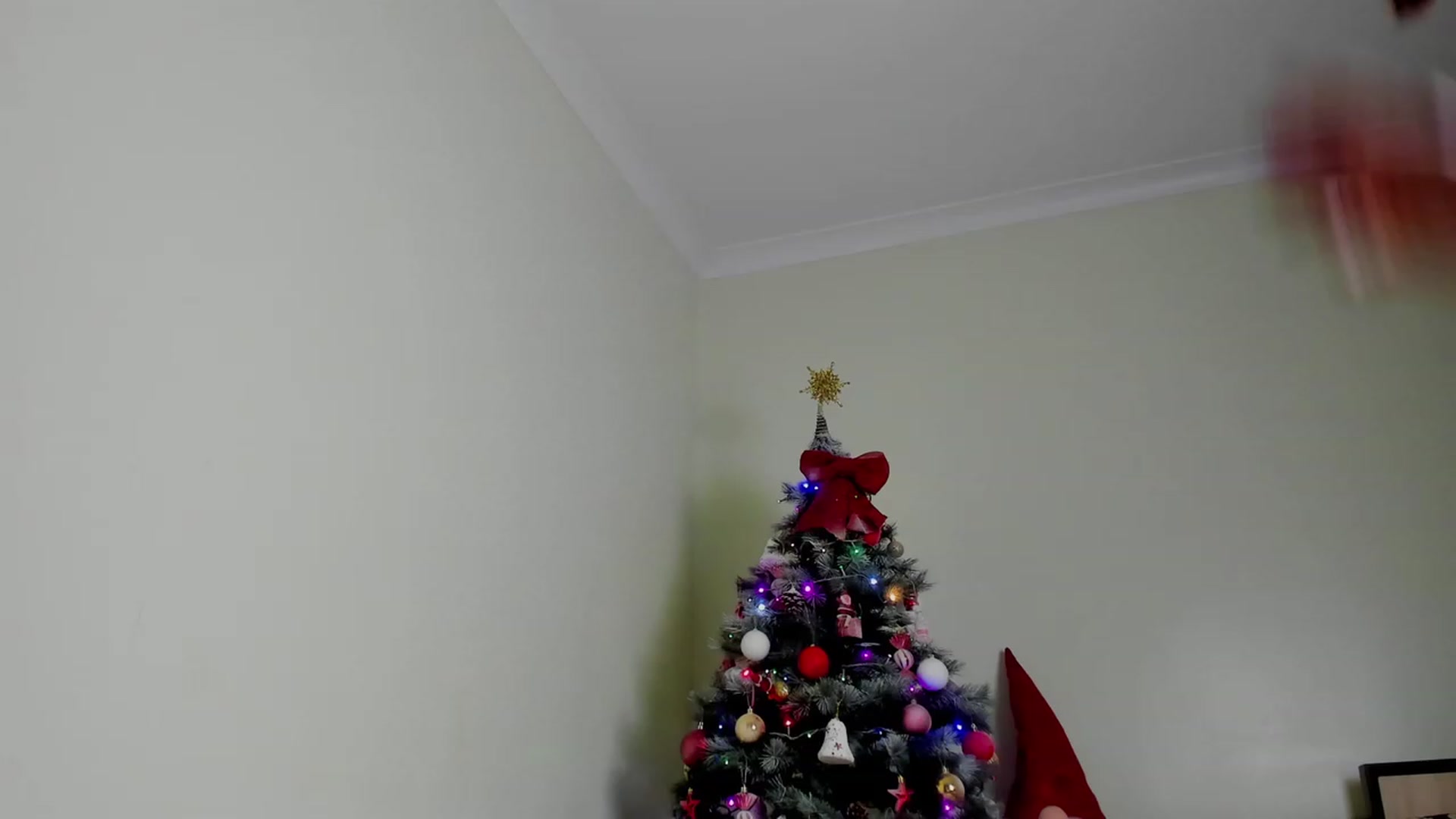 Gallery image thumbnail from KatBirdie_x's myfreecams stream on, 12/17/2023, 21:49 image 6 of 20
