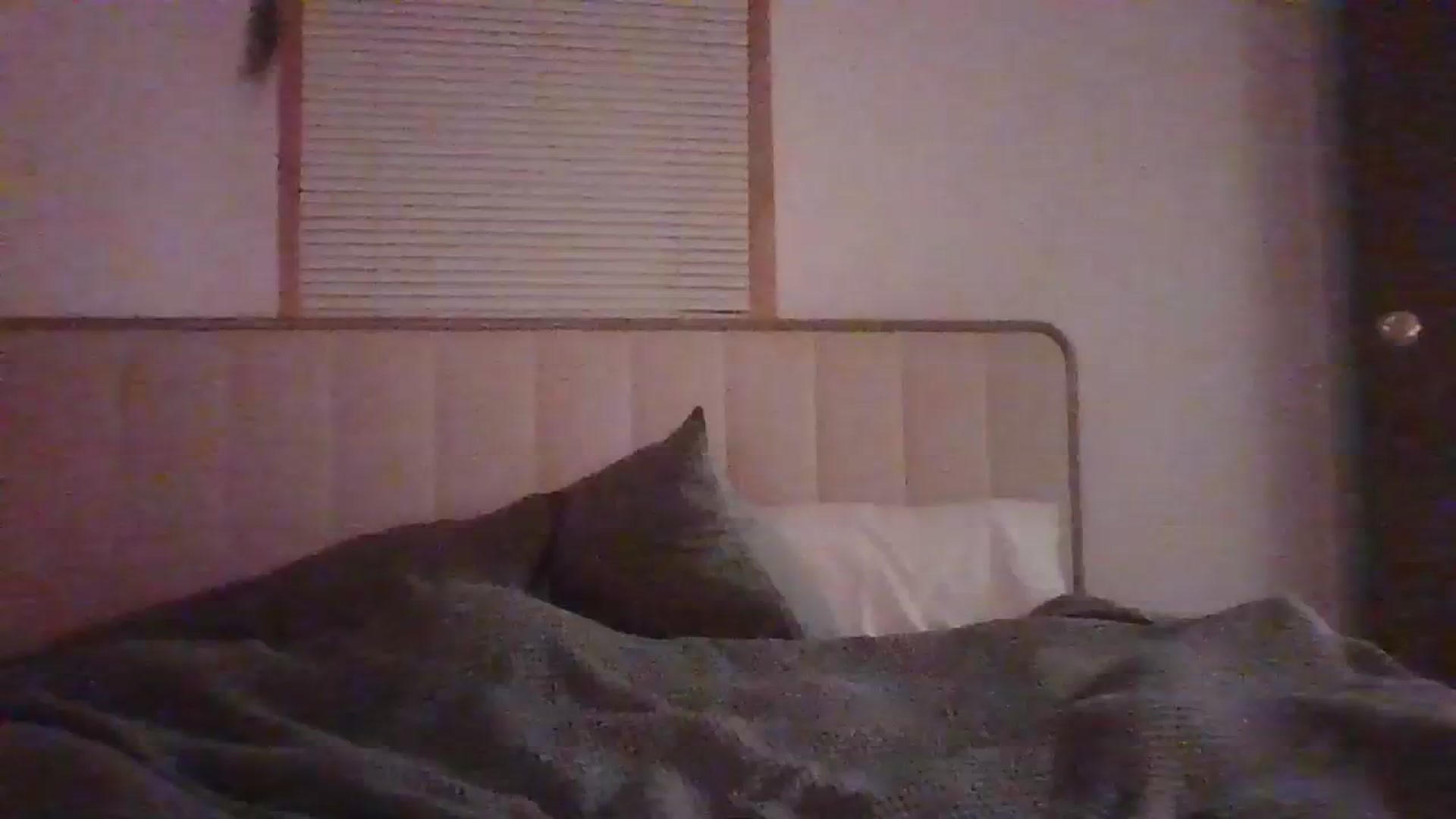 Gallery image thumbnail from KatChella's myfreecams stream on, 11/24/2023, 01:03 image 13 of 20