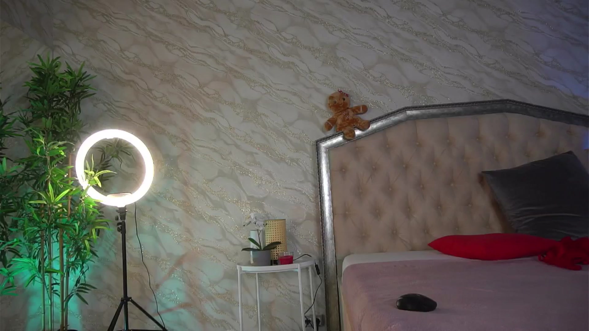 Gallery image thumbnail from KatelynSparks's myfreecams stream on, 04/02/2026, 12:47 image 5 of 20