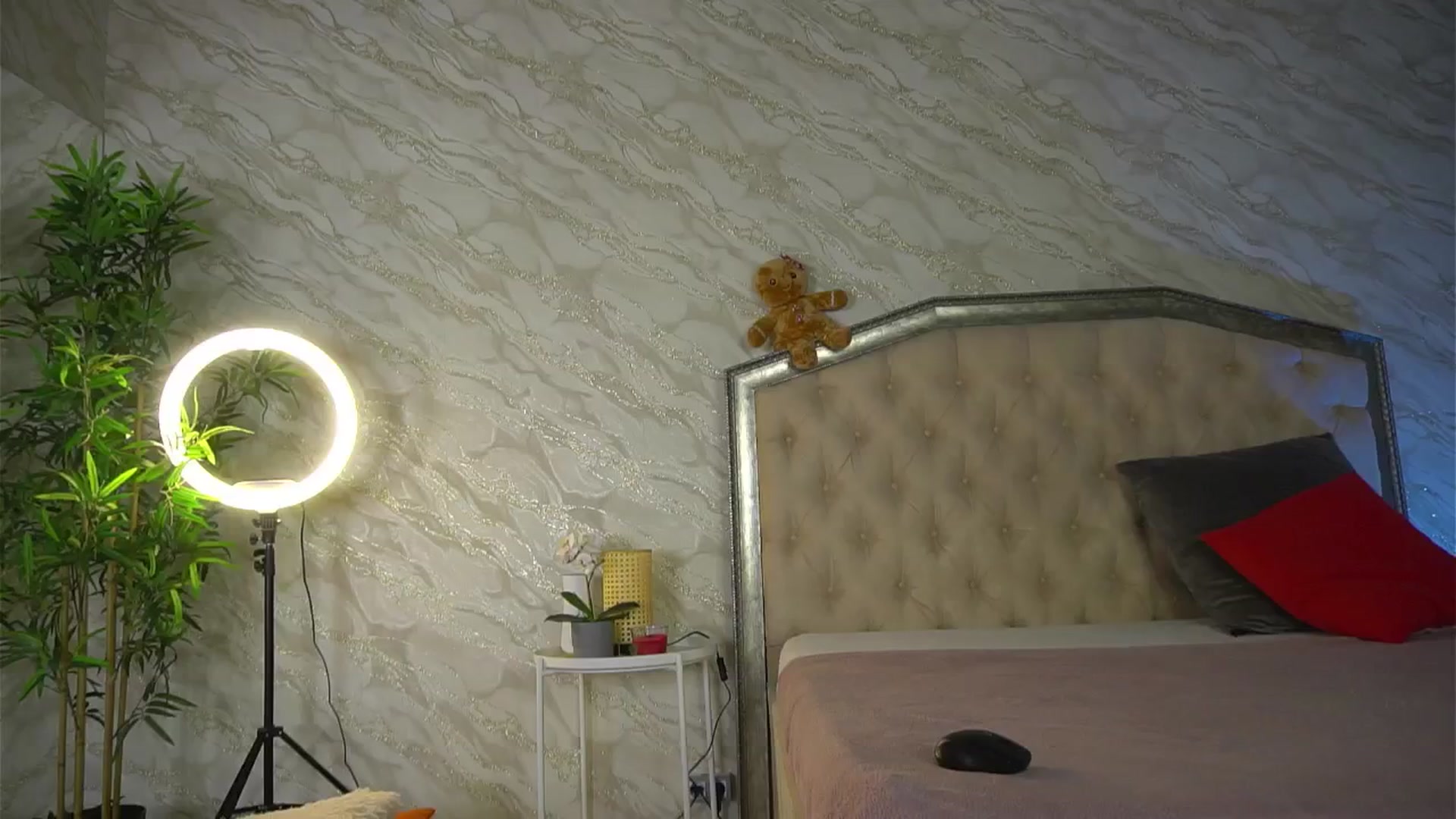 Gallery image thumbnail from KatelynSparks's myfreecams stream on, 04/14/2026, 13:16 image 2 of 20