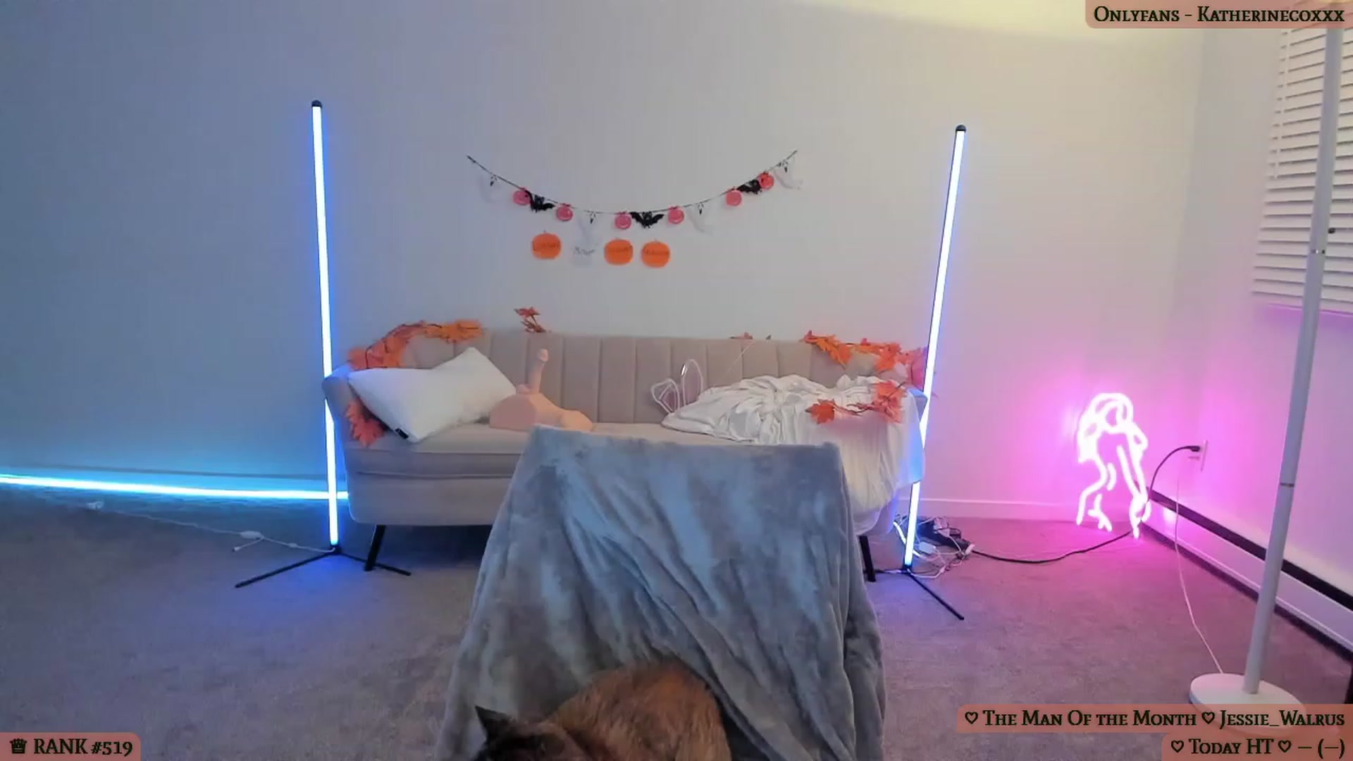 Gallery image thumbnail from KatherineCox's myfreecams stream on, 09/25/2023, 01:33 image 16 of 20