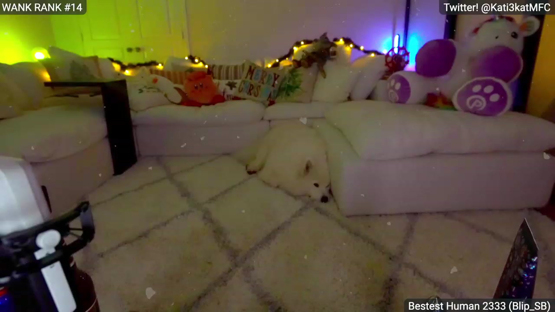 Gallery image thumbnail from Kati3Kat's myfreecams stream on, 12/30/2022, 10:31 image 9 of 20