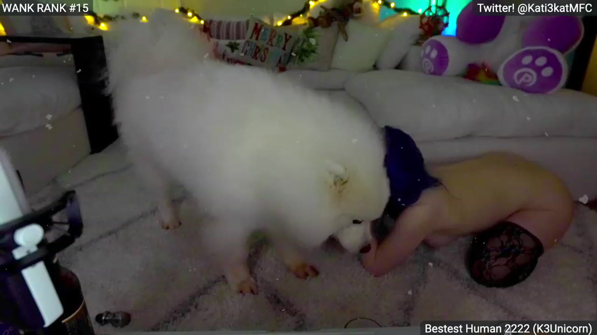 Gallery image thumbnail from Kati3Kat's myfreecams stream on, 12/30/2022, 10:31 image 3 of 20