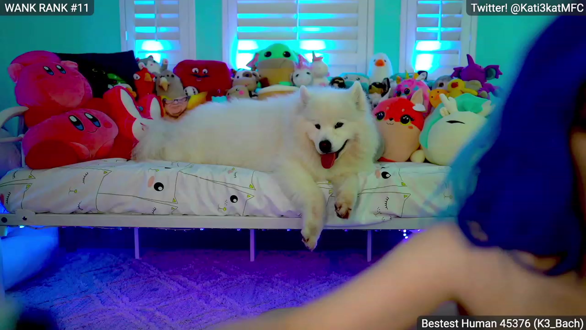 Gallery image thumbnail from Kati3Kat's myfreecams stream on, 02/04/2023, 10:01 image 18 of 20