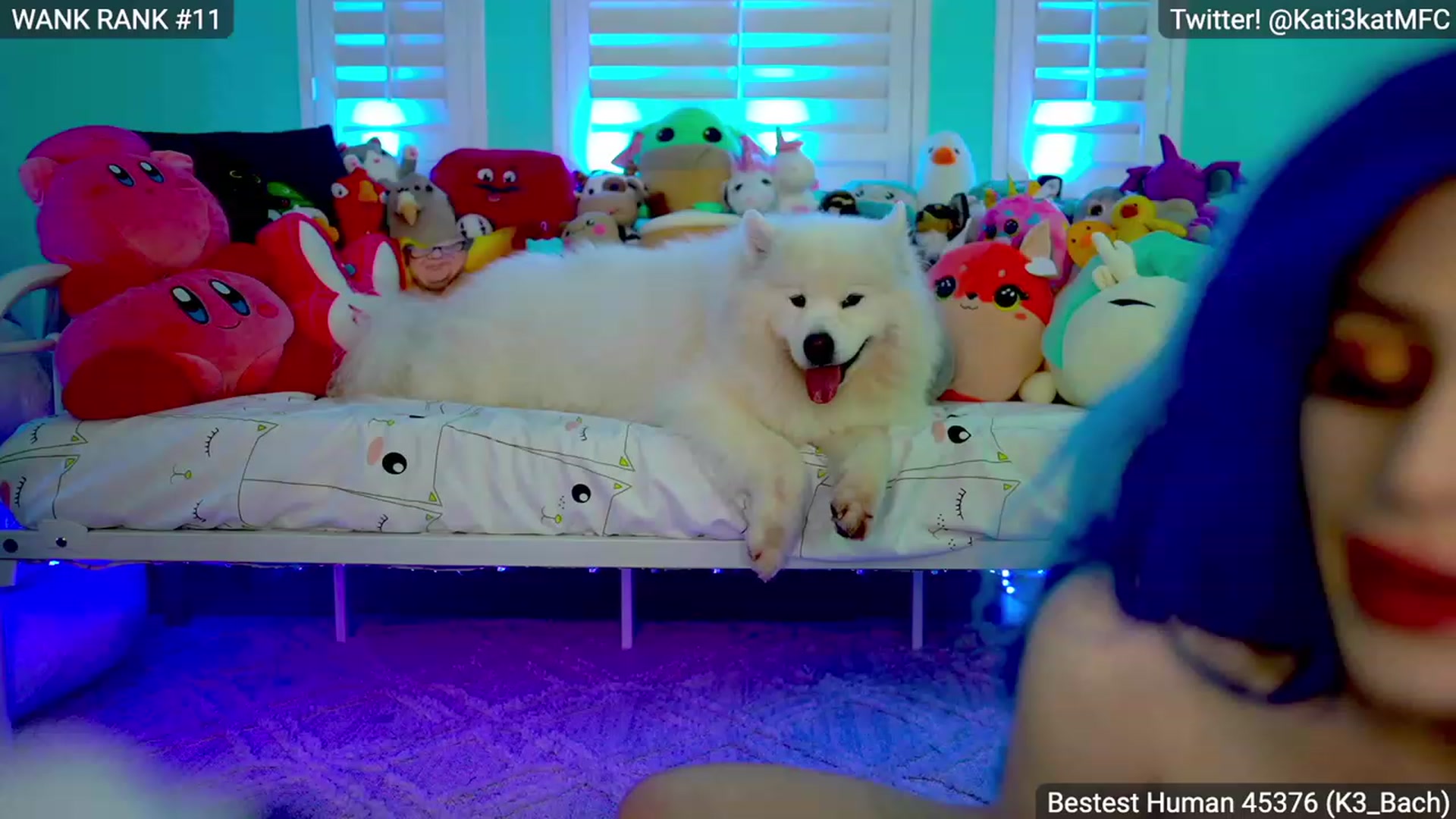 Gallery image thumbnail from Kati3Kat's myfreecams stream on, 02/04/2023, 10:01 image 17 of 20