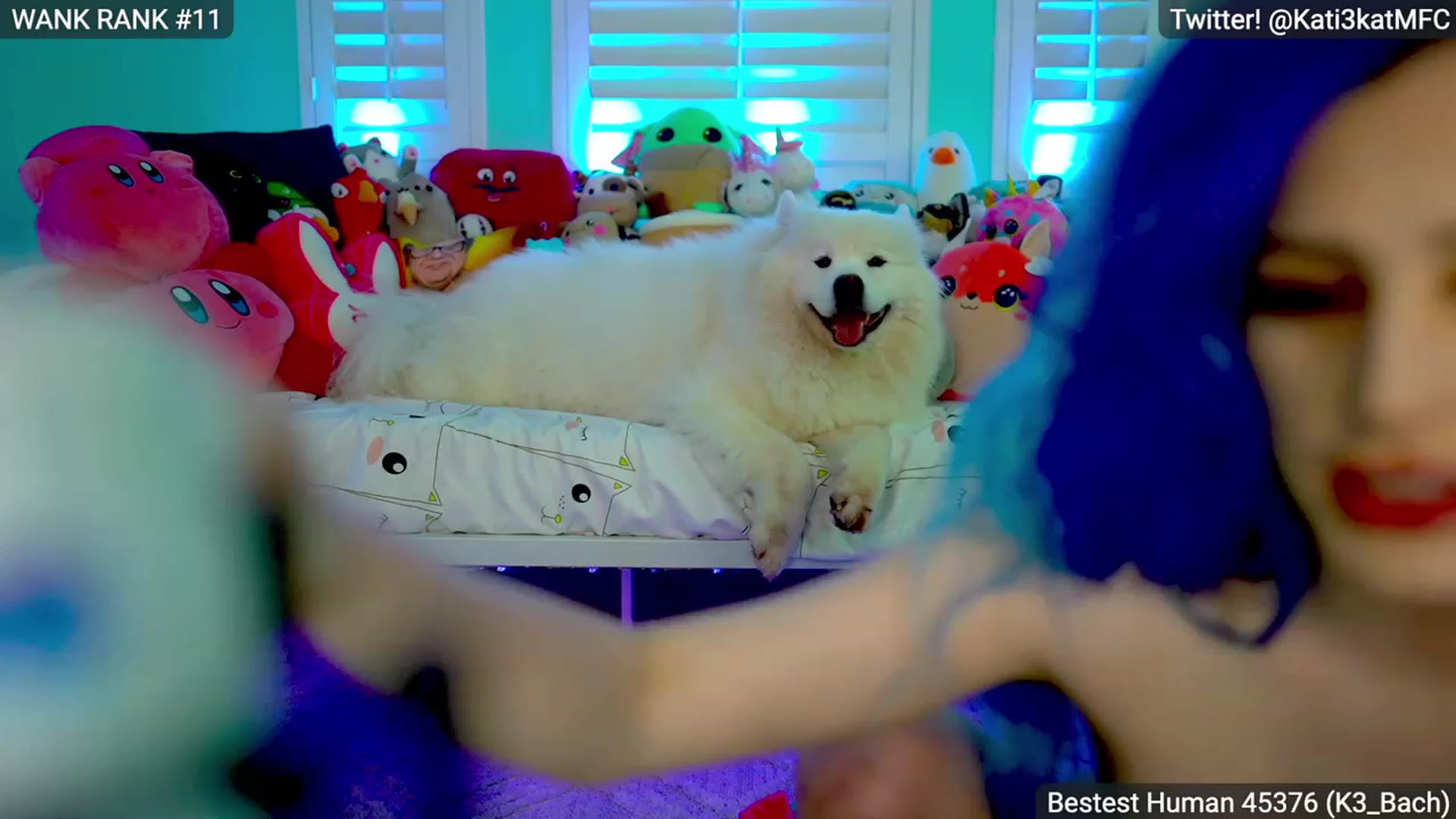 Gallery image thumbnail from Kati3Kat's myfreecams stream on, 02/04/2023, 10:01 image 16 of 20
