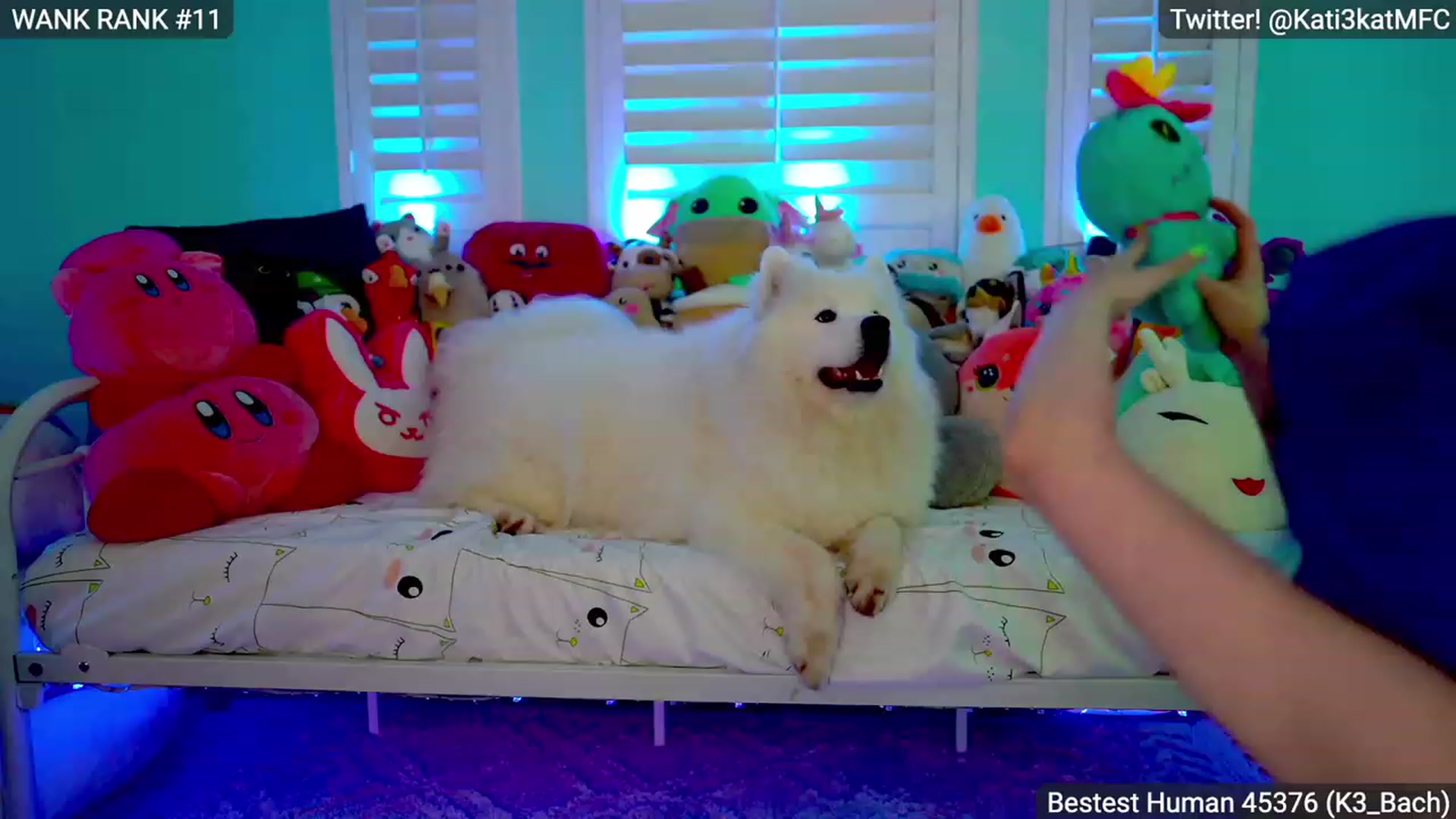 Gallery image thumbnail from Kati3Kat's myfreecams stream on, 02/04/2023, 10:01 image 9 of 20