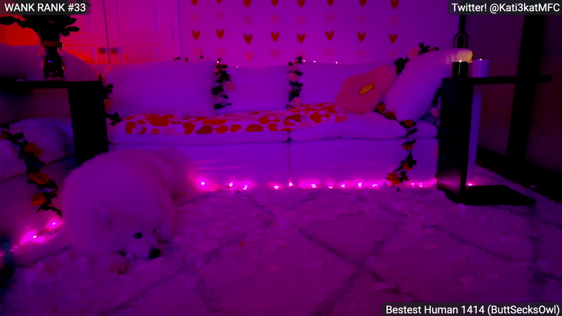 Gallery image thumbnail from Kati3Kat's myfreecams stream on, 02/15/2023, 06:25 image 12 of 20