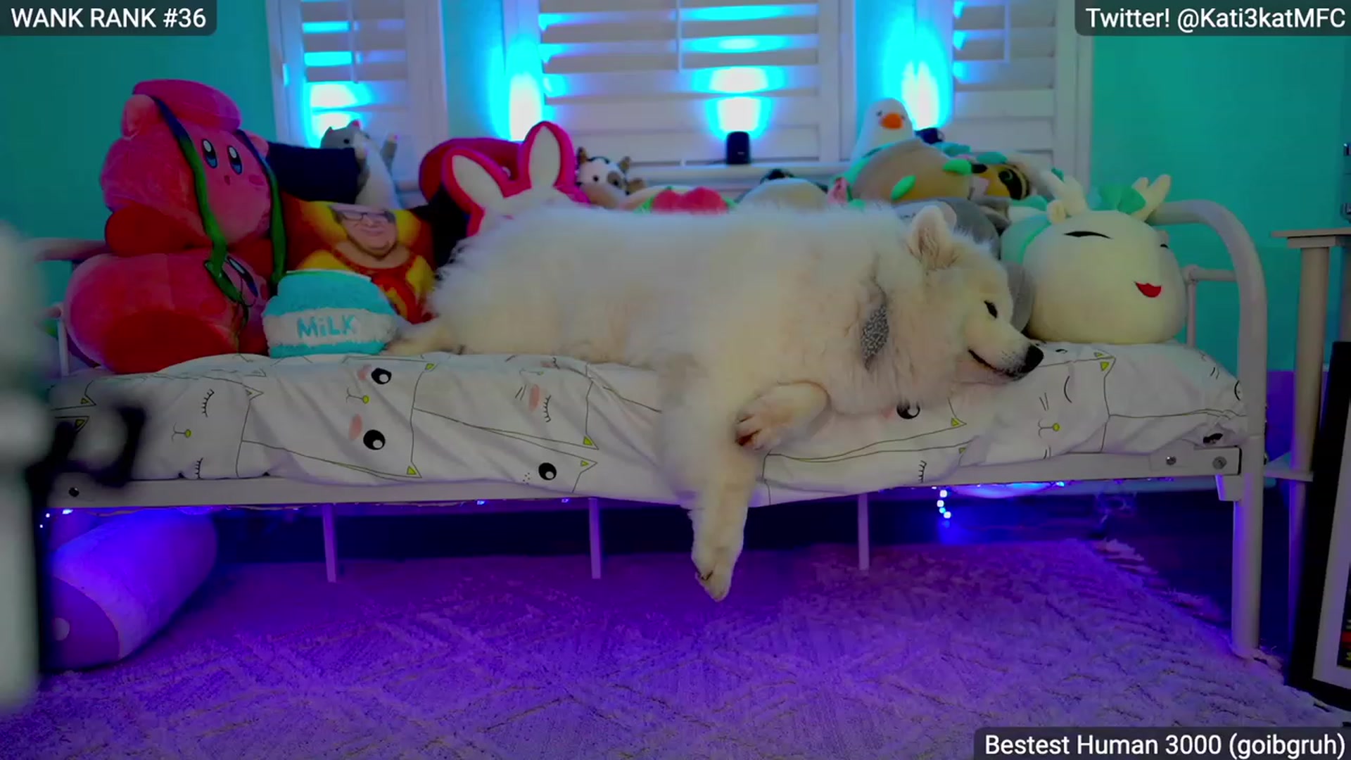 Gallery image thumbnail from Kati3Kat's myfreecams stream on, 03/12/2023, 08:30 image 7 of 20