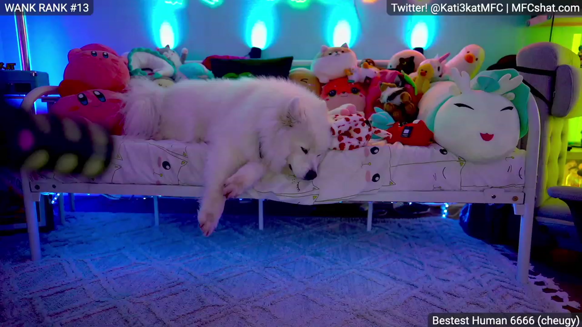 Gallery image thumbnail from Kati3Kat's myfreecams stream on, 04/29/2023, 07:57 image 15 of 20