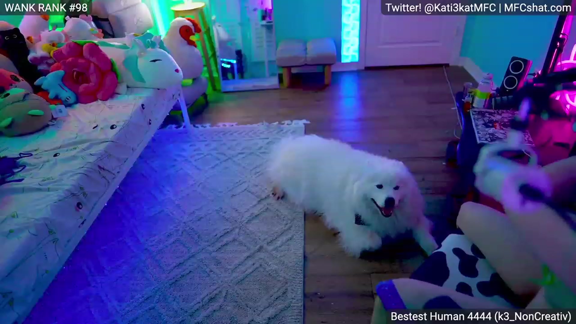 Gallery image thumbnail from Kati3Kat's myfreecams stream on, 05/04/2023, 11:22 image 17 of 20