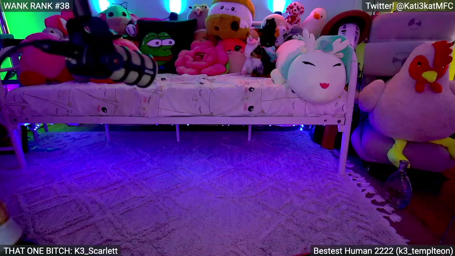 Gallery image thumbnail from Kati3Kat's myfreecams stream on, 07/31/2023, 07:25 image 19 of 20