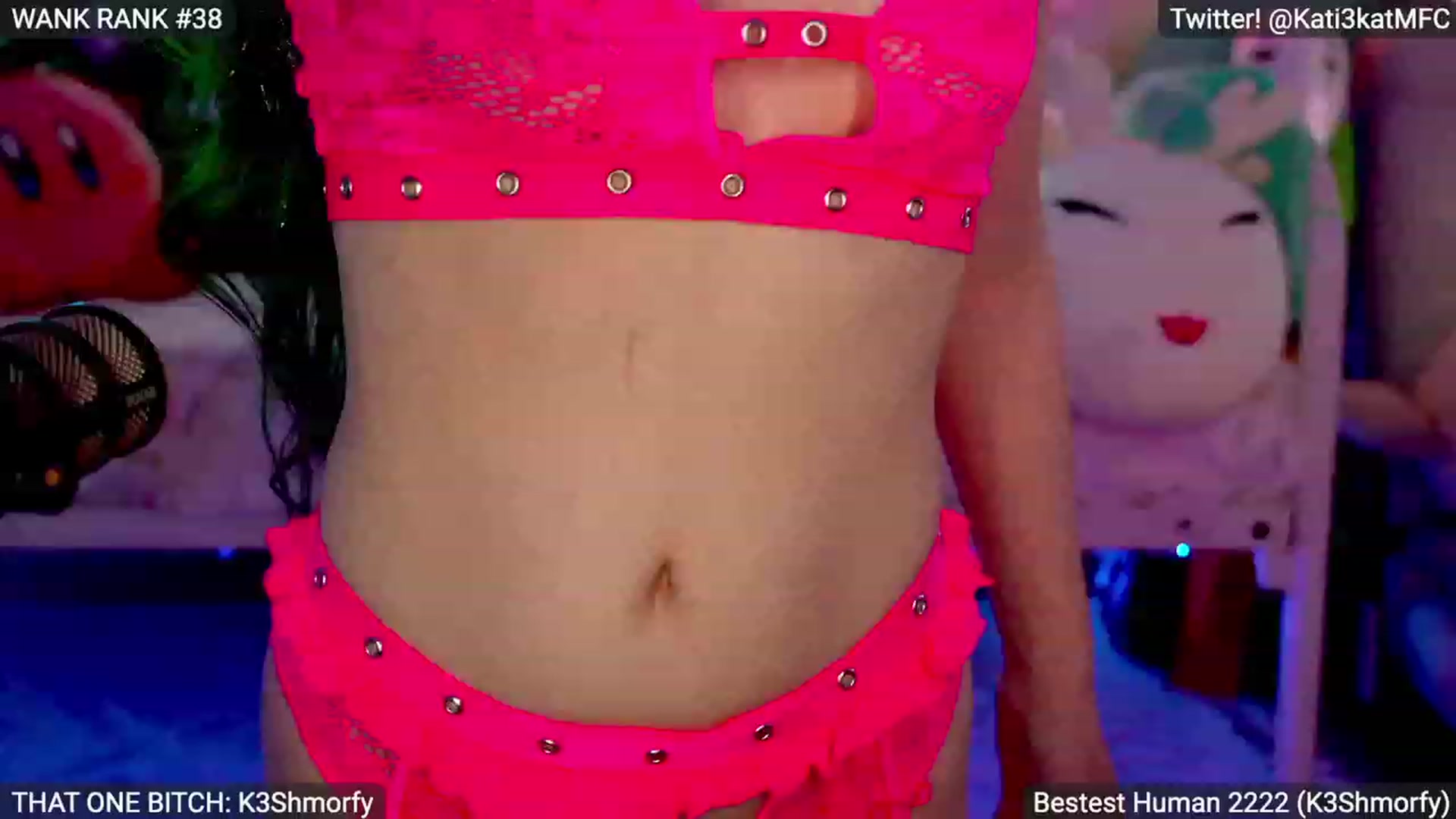 Gallery image thumbnail from Kati3Kat's myfreecams stream on, 08/01/2023, 03:20 image 13 of 20