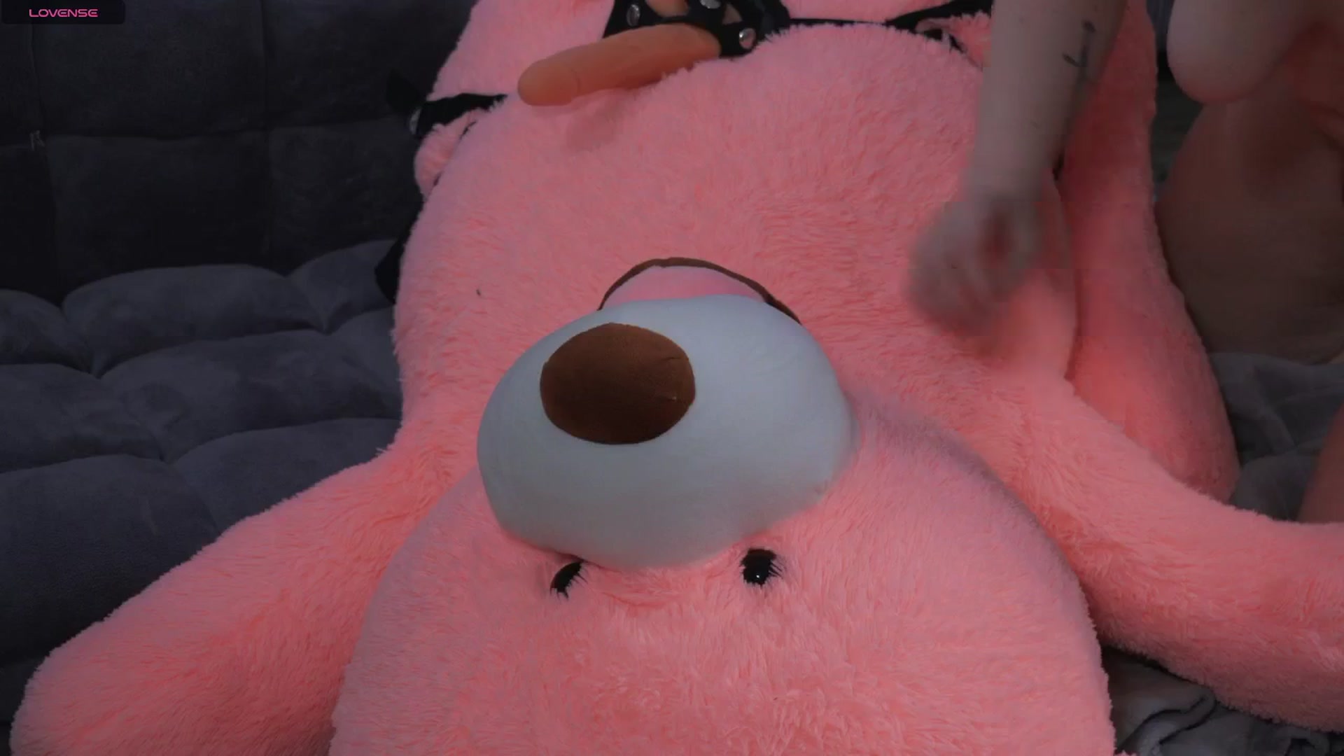Gallery image thumbnail from KatieBell's myfreecams stream on, 08/10/2025, 01:06 image 20 of 20