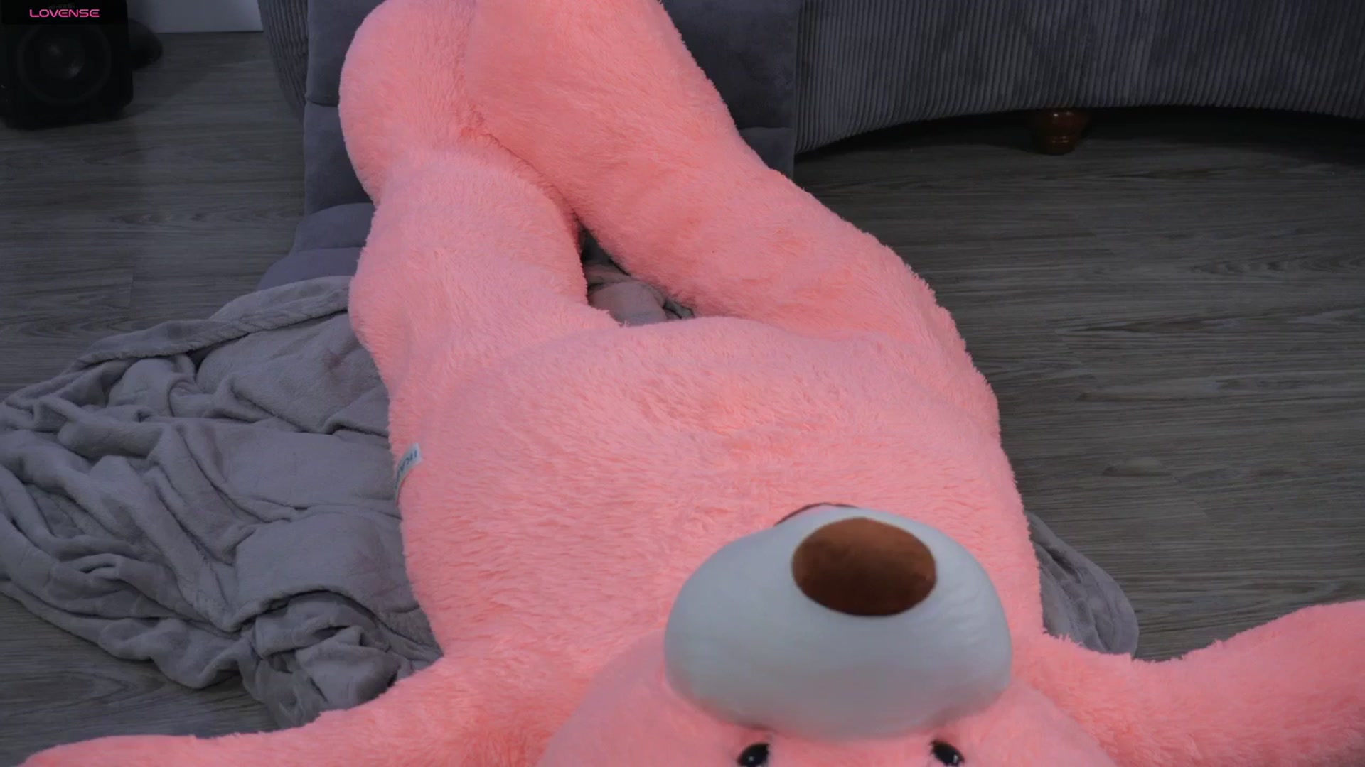 Gallery image thumbnail from KatieBell's myfreecams stream on, 08/10/2025, 01:06 image 9 of 20