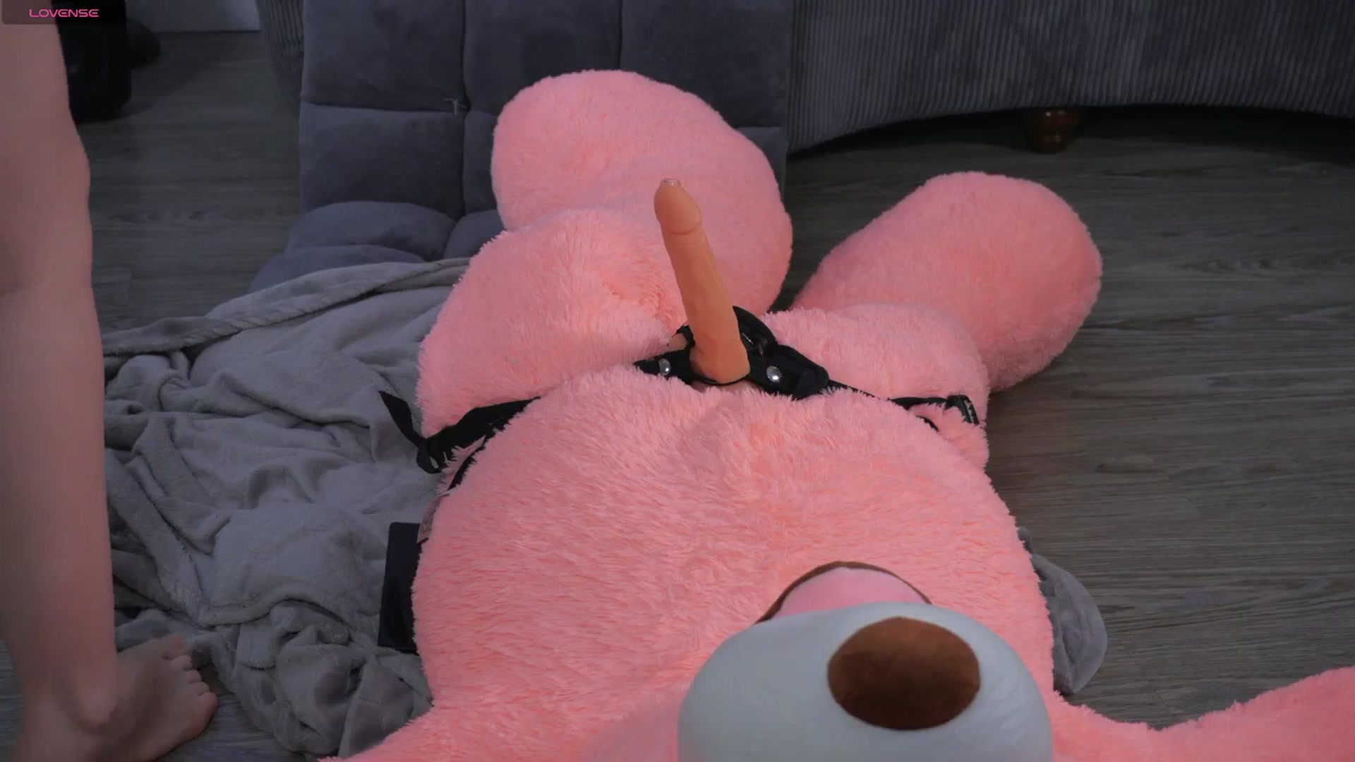 Gallery image thumbnail from KatieBell's myfreecams stream on, 08/10/2025, 01:06 image 10 of 20