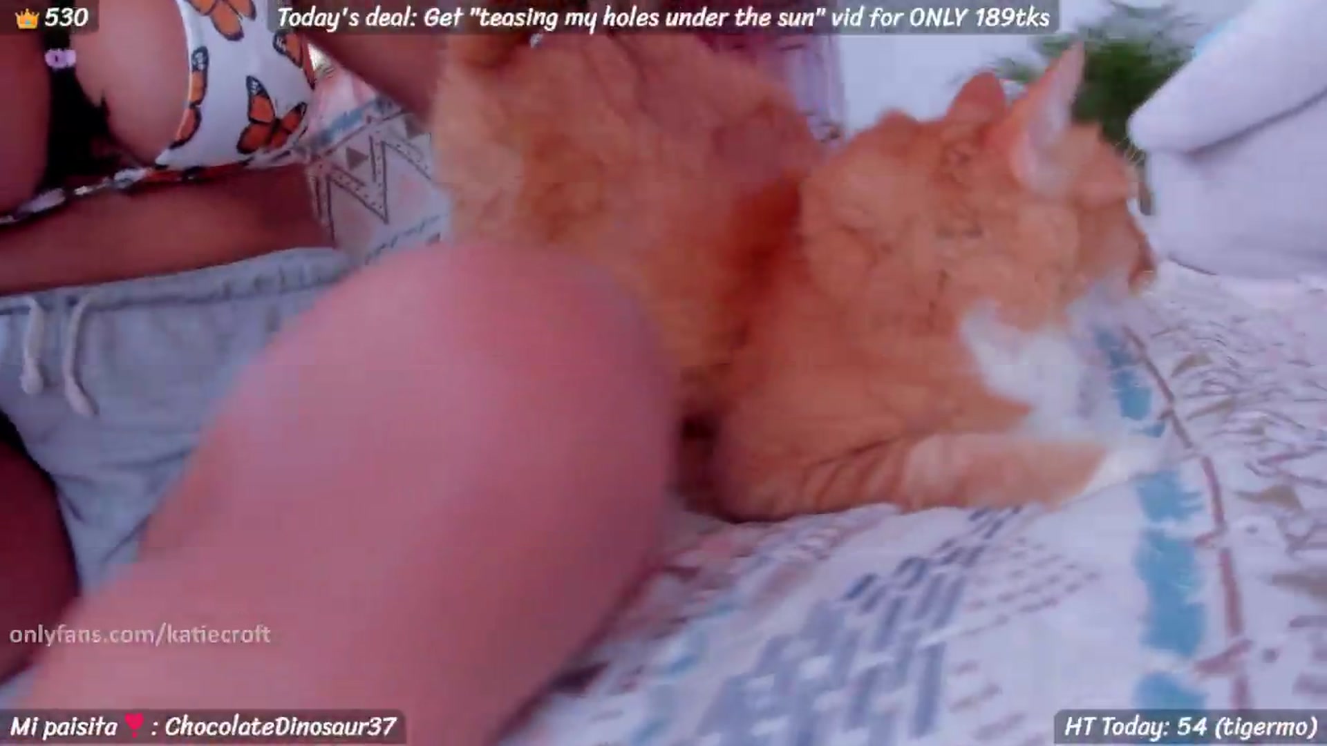 Gallery image thumbnail from KatieCroft's myfreecams stream on, 06/28/2026, 19:51 image 3 of 20