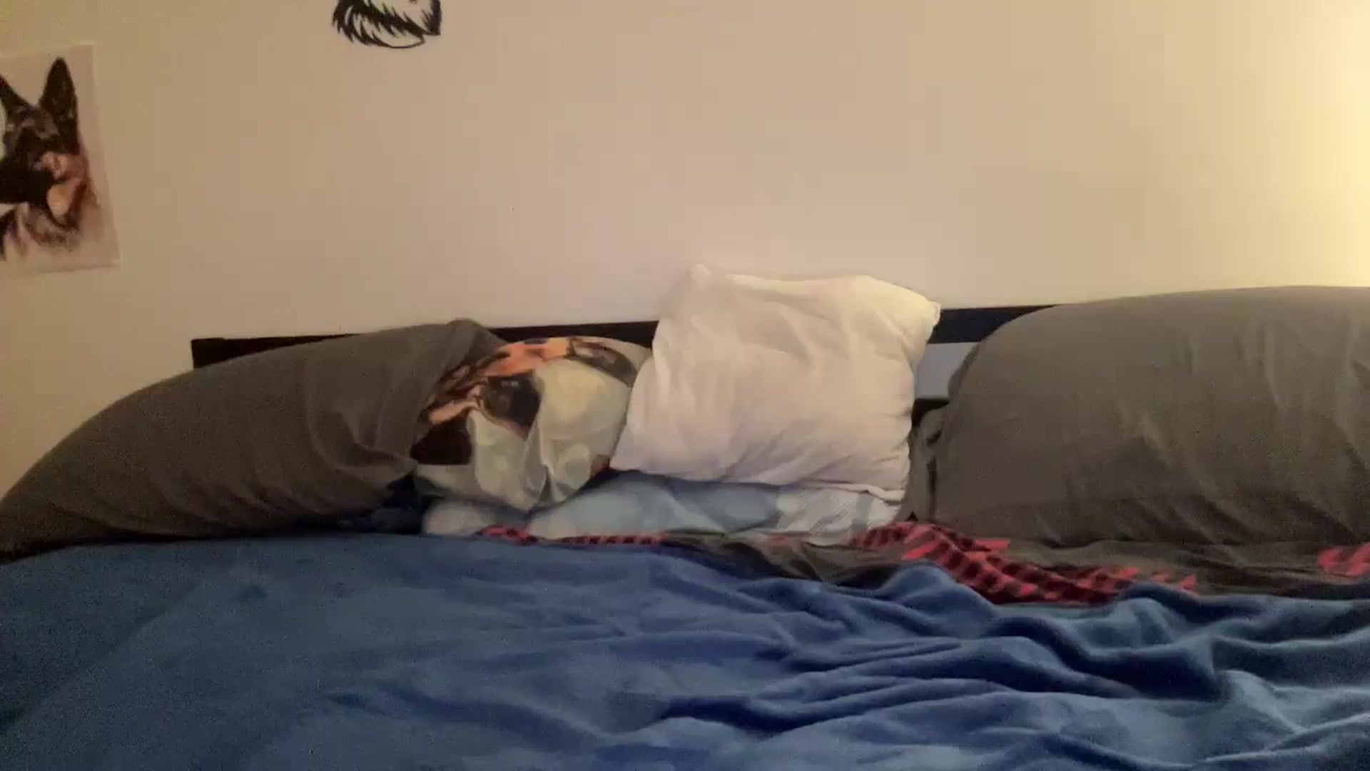 Gallery image thumbnail from Katrina2's myfreecams stream on, 01/24/2026, 01:28 image 13 of 20