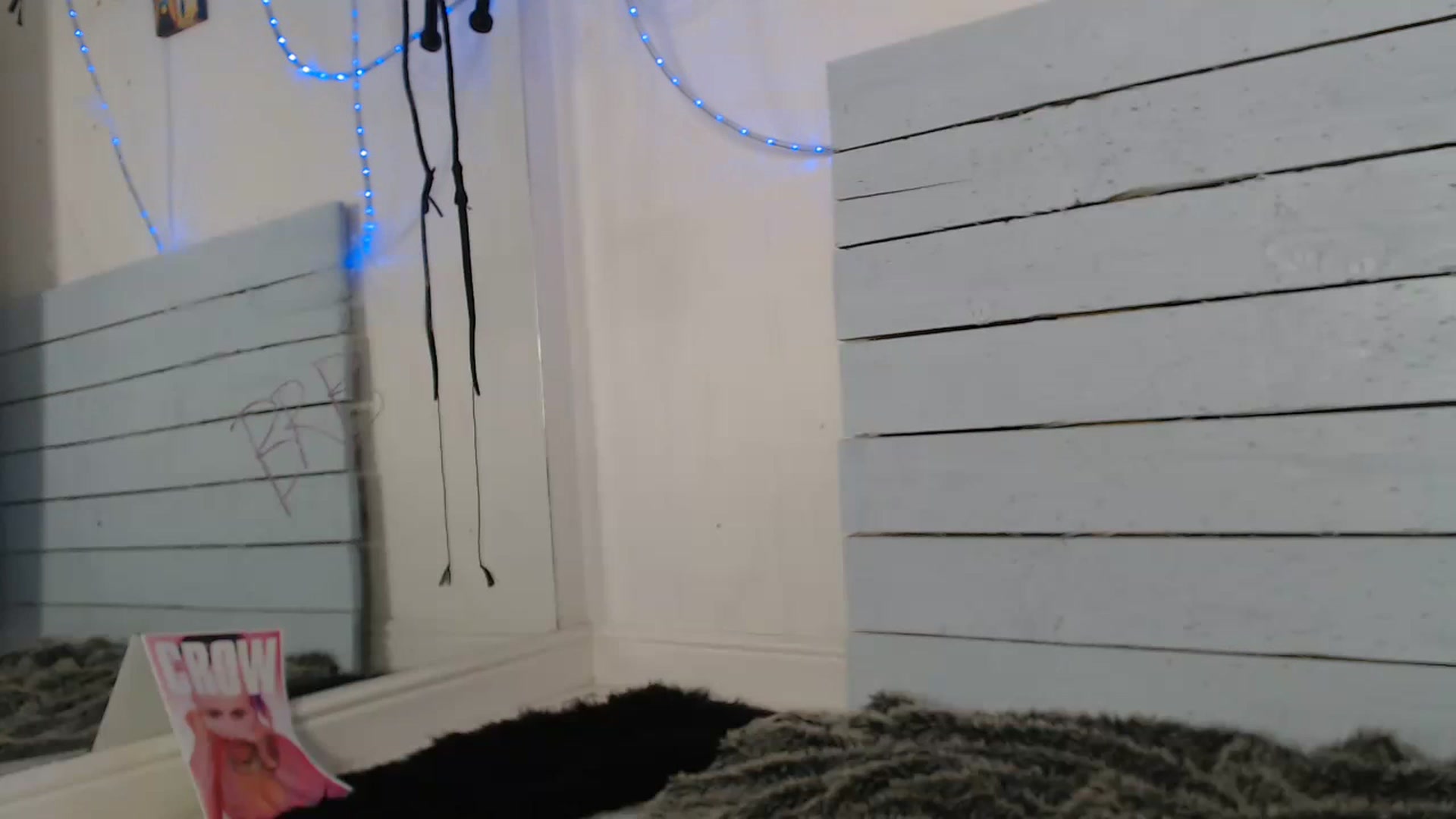 Gallery image thumbnail from Katsandcrows's myfreecams stream on, 01/16/2023, 02:26 image 8 of 20