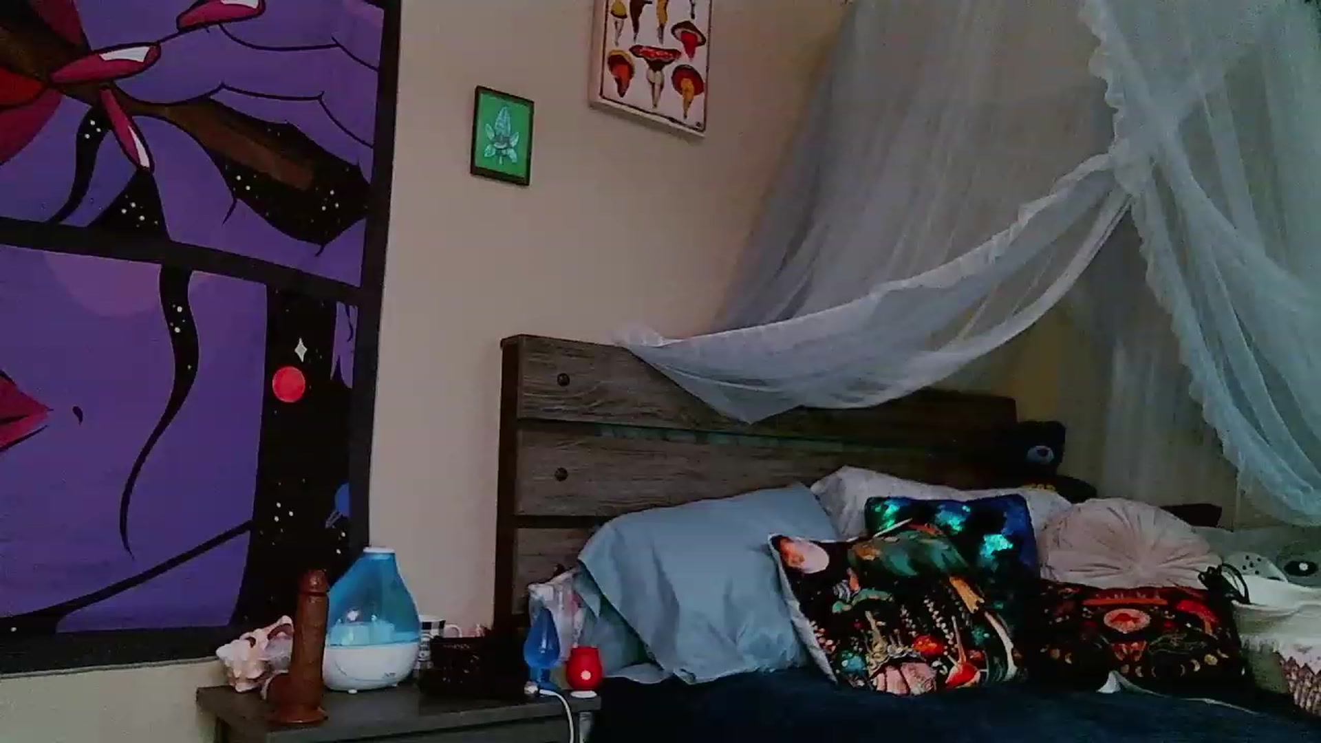 Gallery image thumbnail from Katthecactus's myfreecams stream on, 07/30/2023, 03:52 image 13 of 20