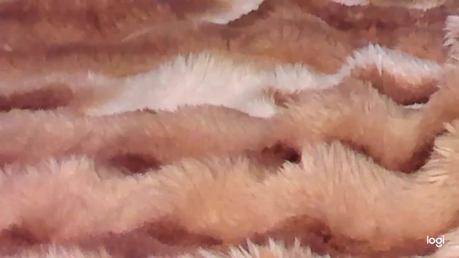 Gallery image thumbnail from KatyLi's myfreecams stream on, 09/02/2025, 23:04 image 19 of 20