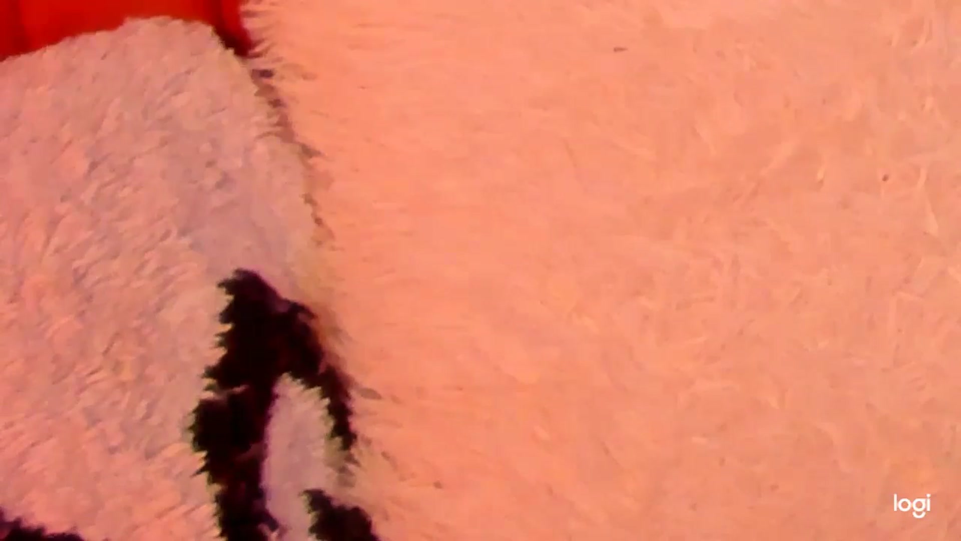 Gallery image thumbnail from KatyLi's myfreecams stream on, 02/10/2026, 21:10 image 20 of 20