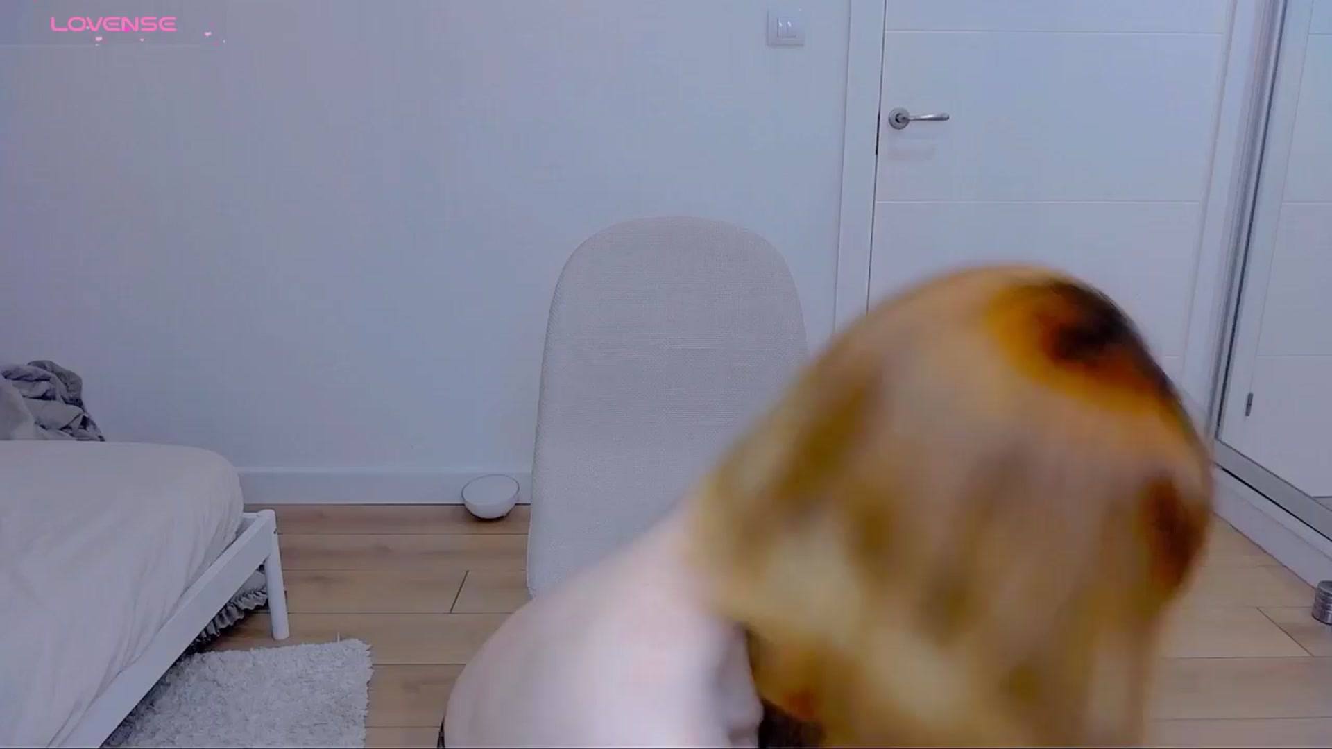 Gallery image thumbnail from KatyaFods's myfreecams stream on, 03/27/2024, 21:51 image 7 of 20